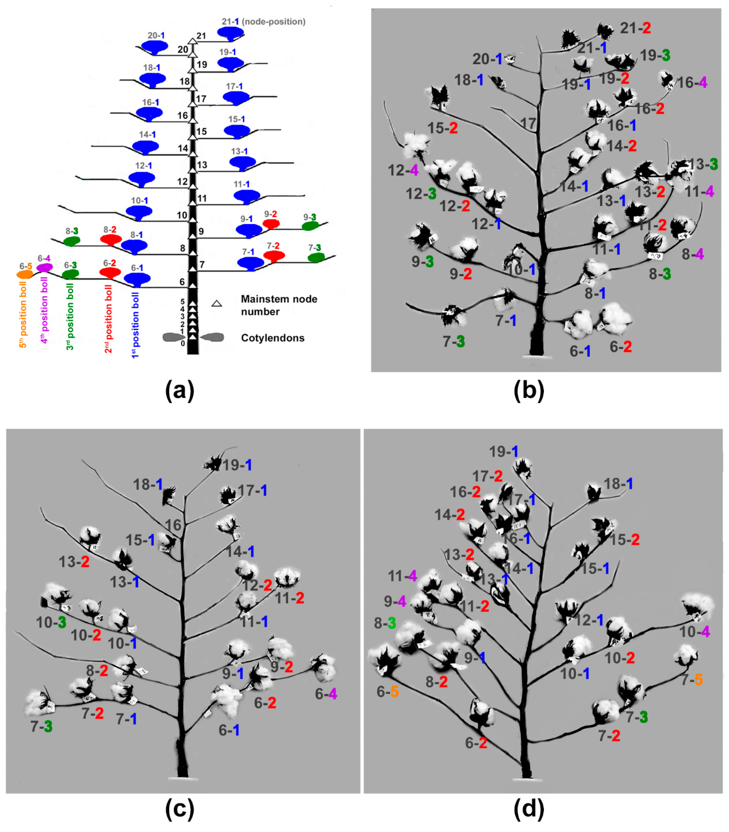 Sensors 24 02888 g001