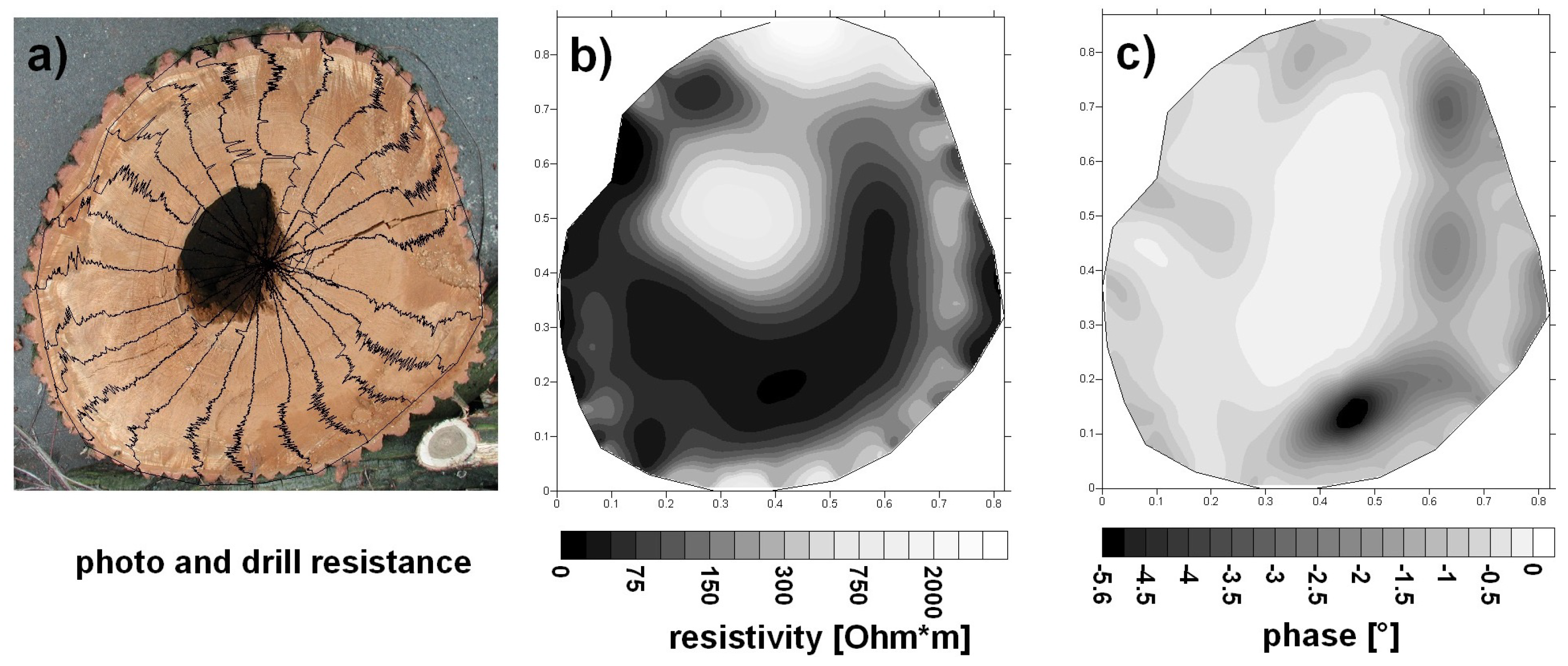 Sensors 24 02901 g007