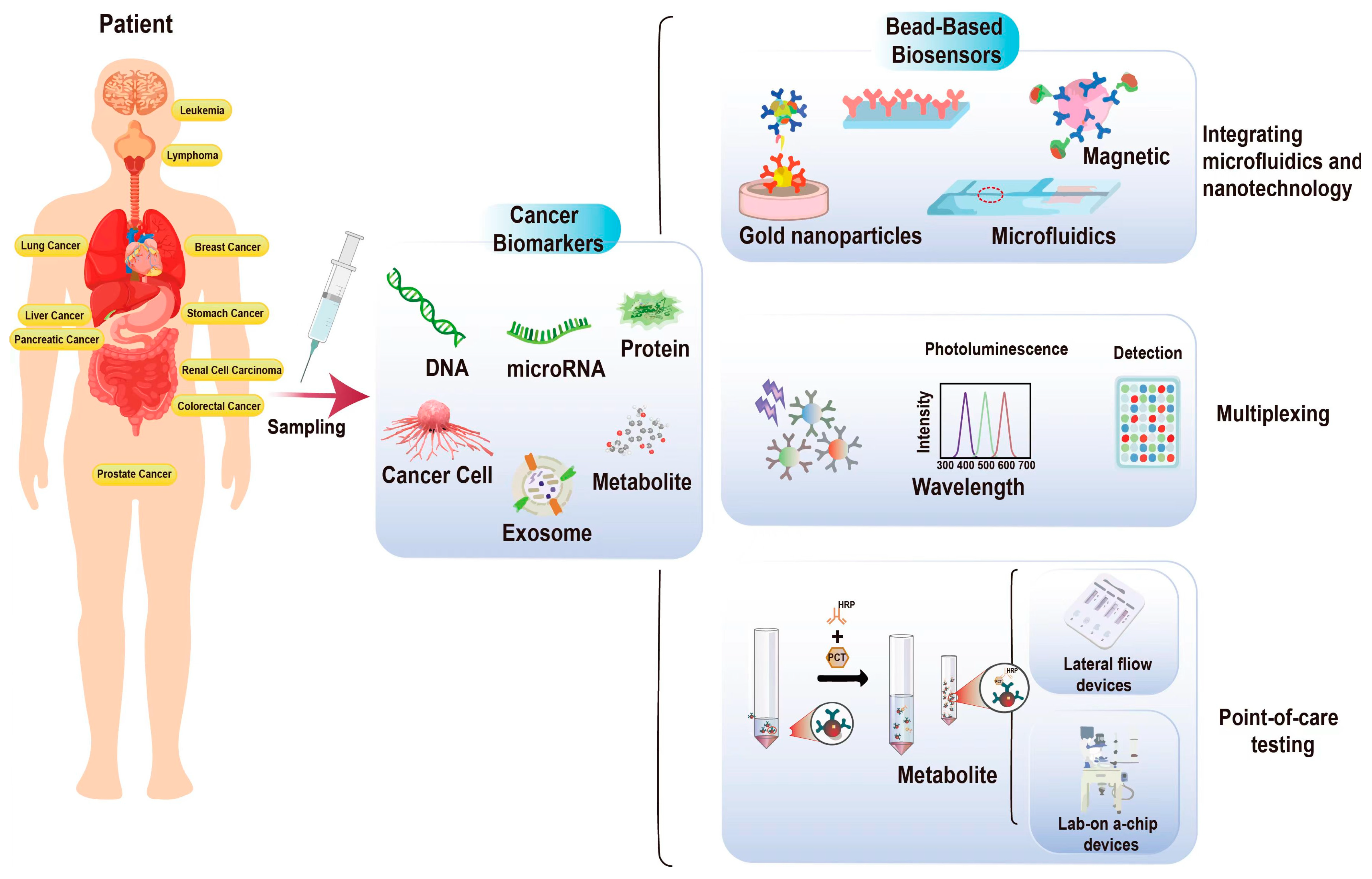 Sensors 24 02904 g001