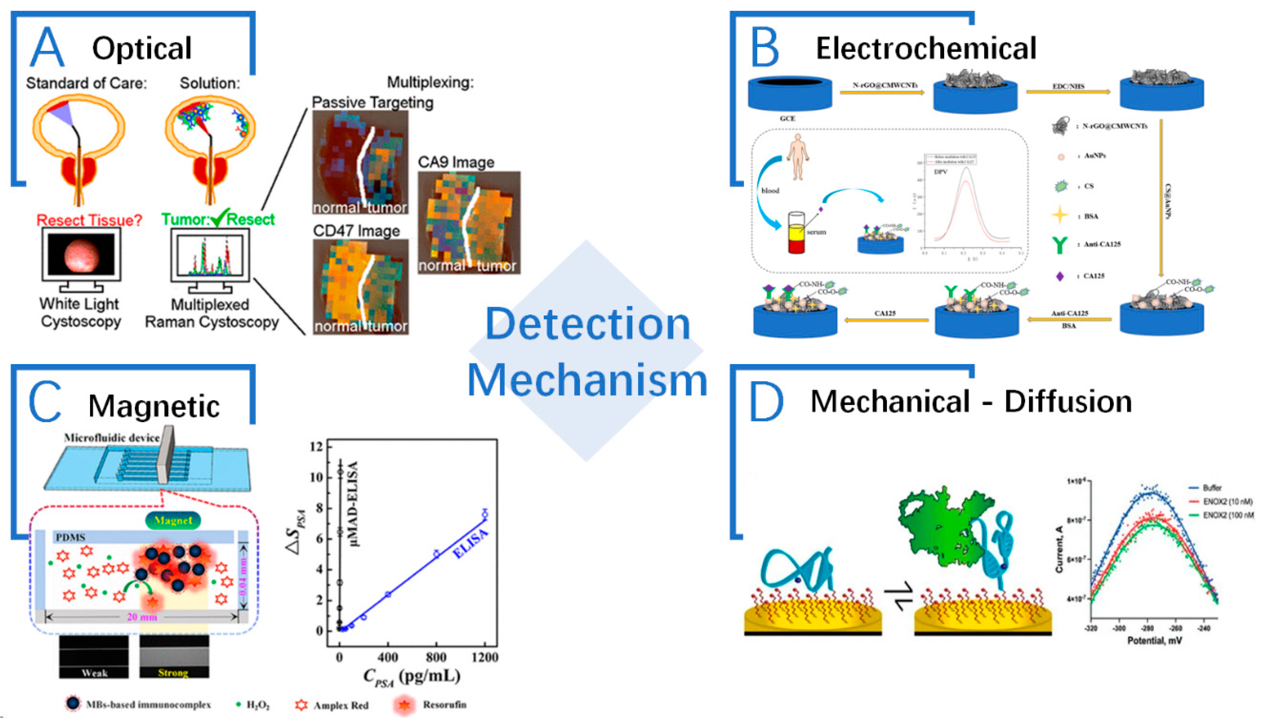 Sensors 24 02904 g004