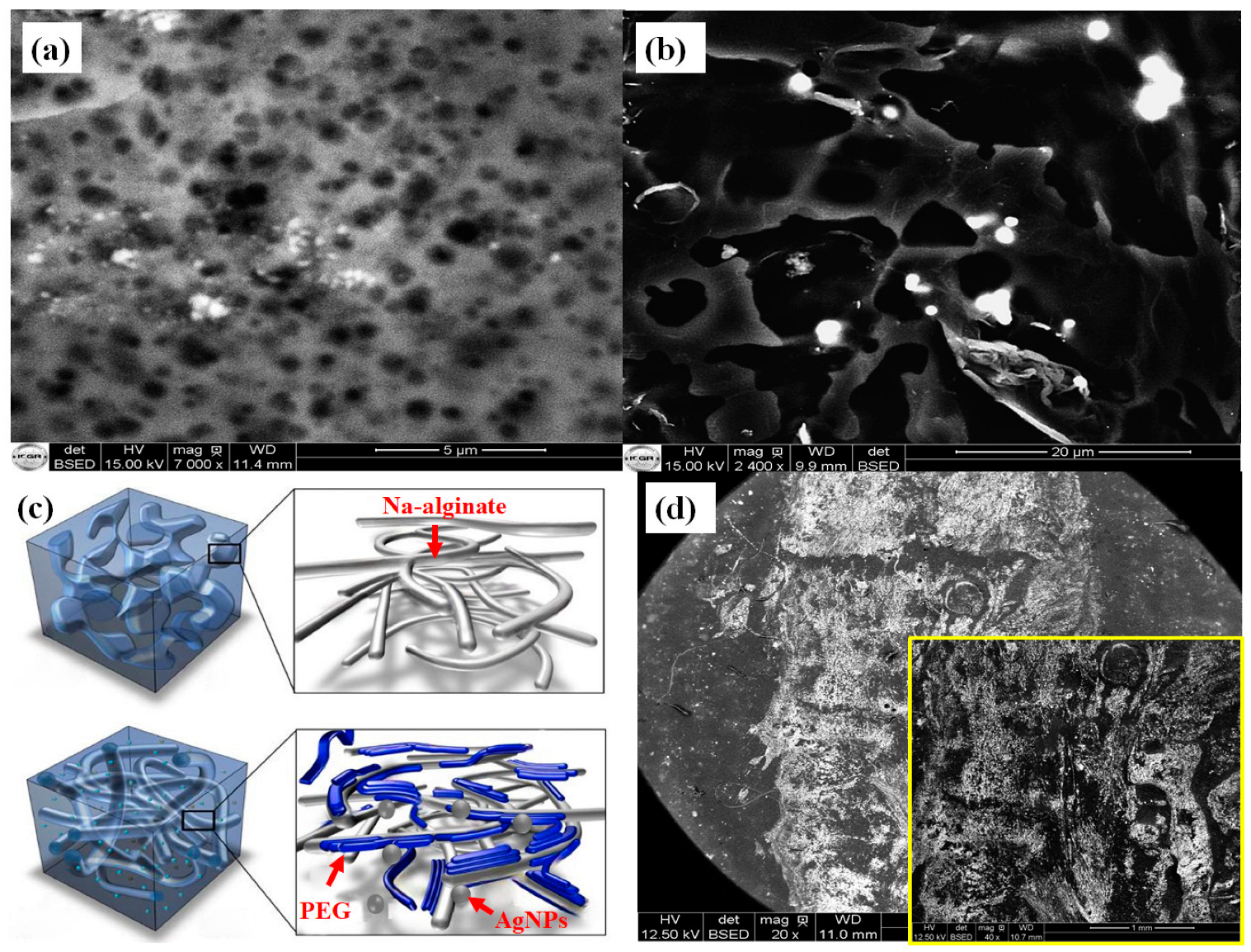 Sensors 24 02938 g011