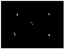 Sensors 24 03066 i001