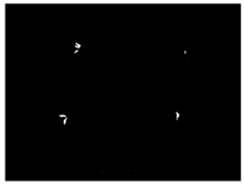 Sensors 24 03066 i003