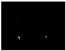 Sensors 24 03066 i005