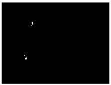 Sensors 24 03066 i007