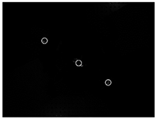 Sensors 24 03066 i010