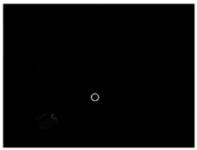 Sensors 24 03066 i012