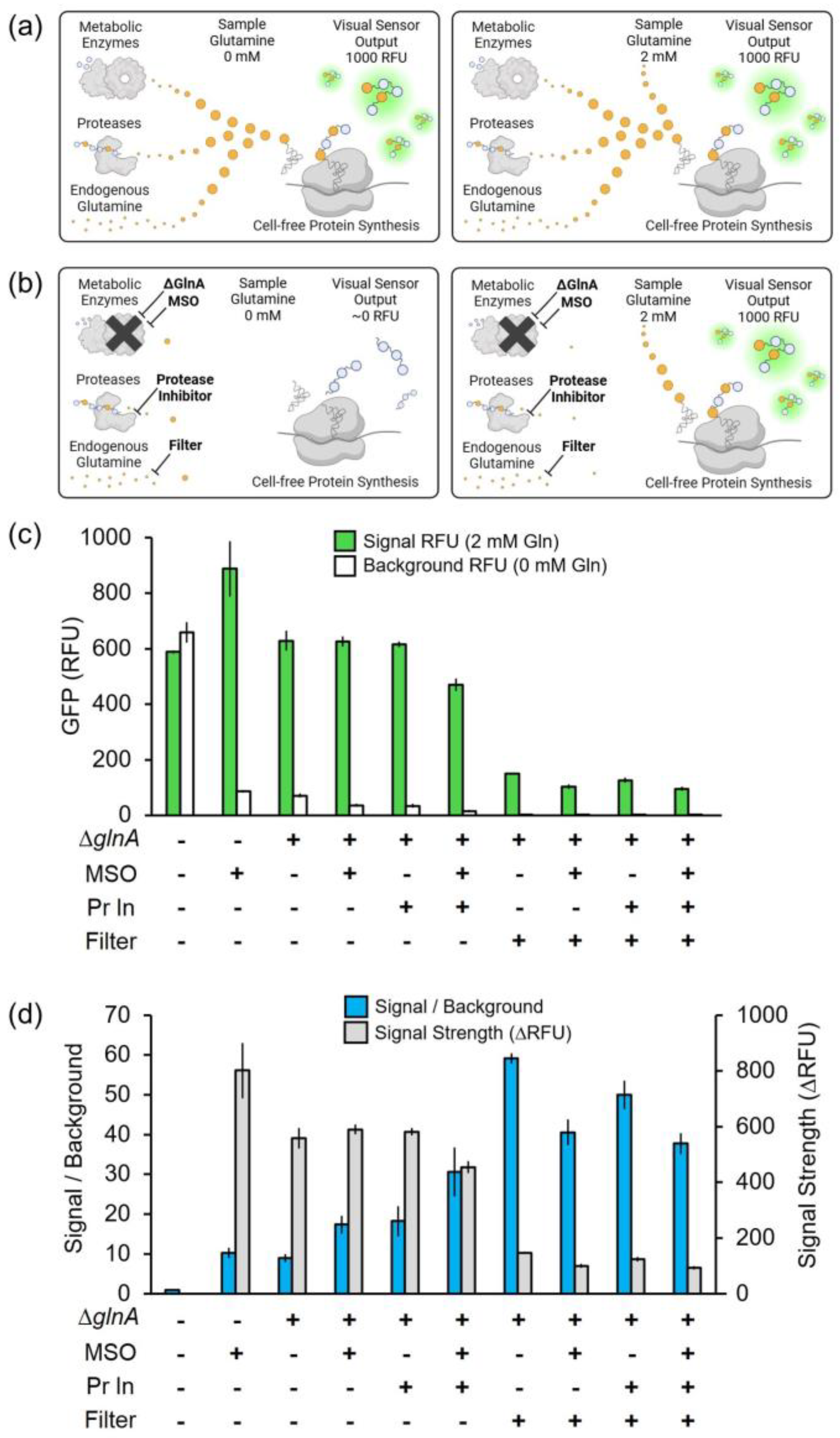 Sensors 24 03073 g001