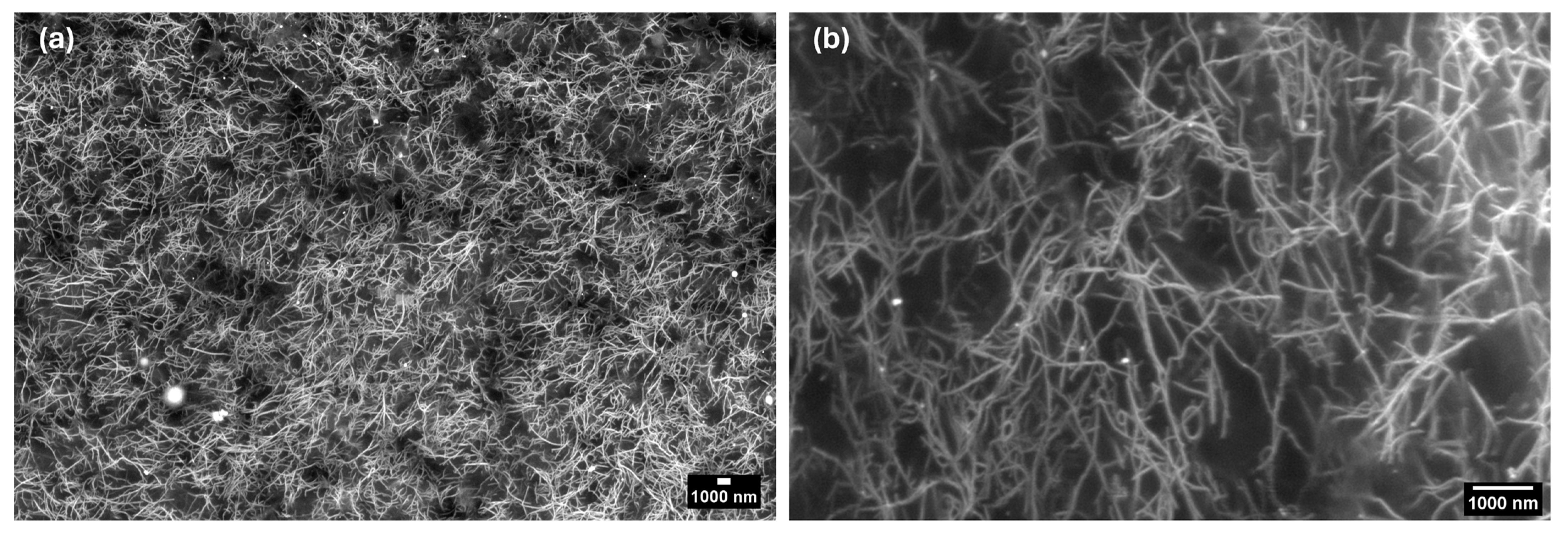 Sensors 24 03136 g005