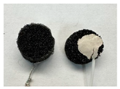 Sensors 24 03136 i003