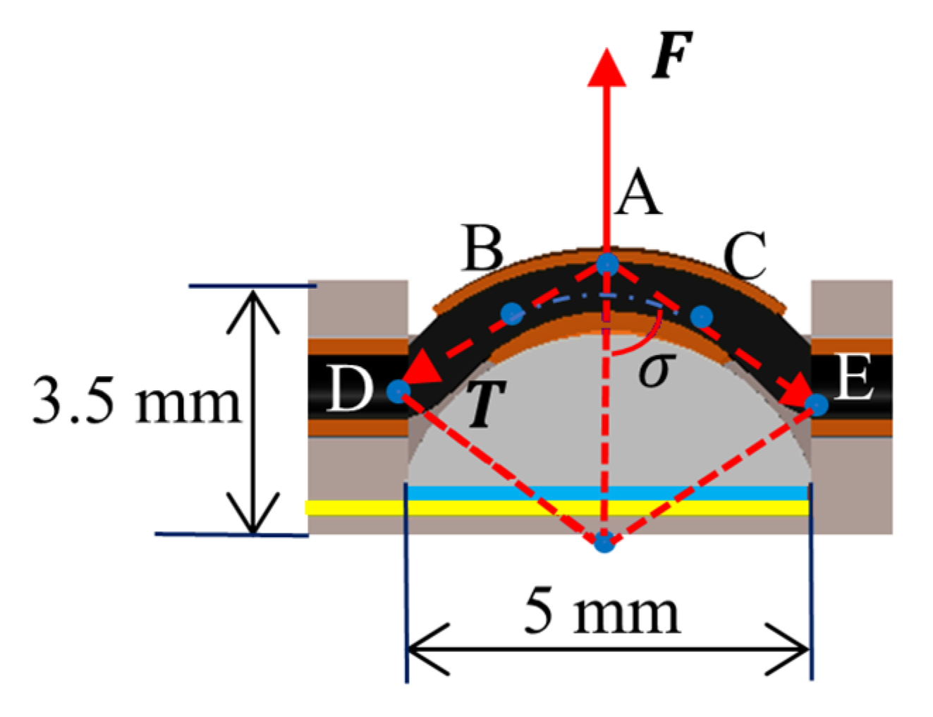 Sensors 24 03156 g005