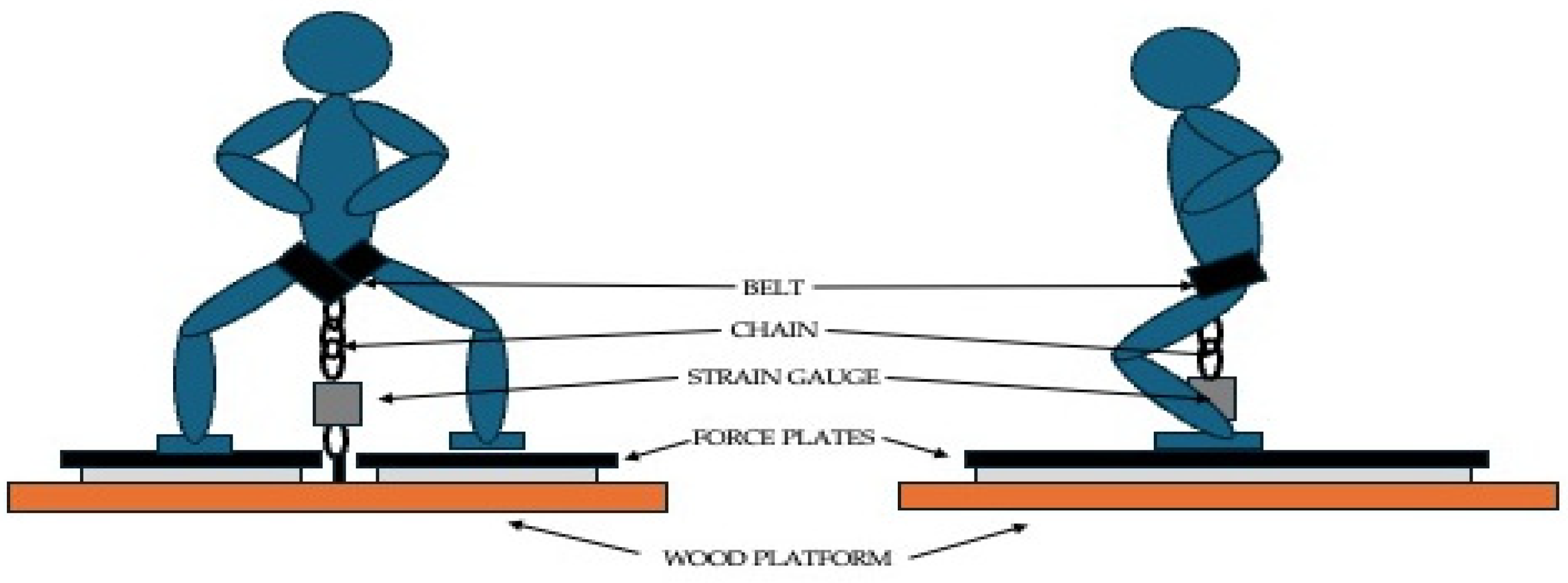 Sensors 24 03256 g001