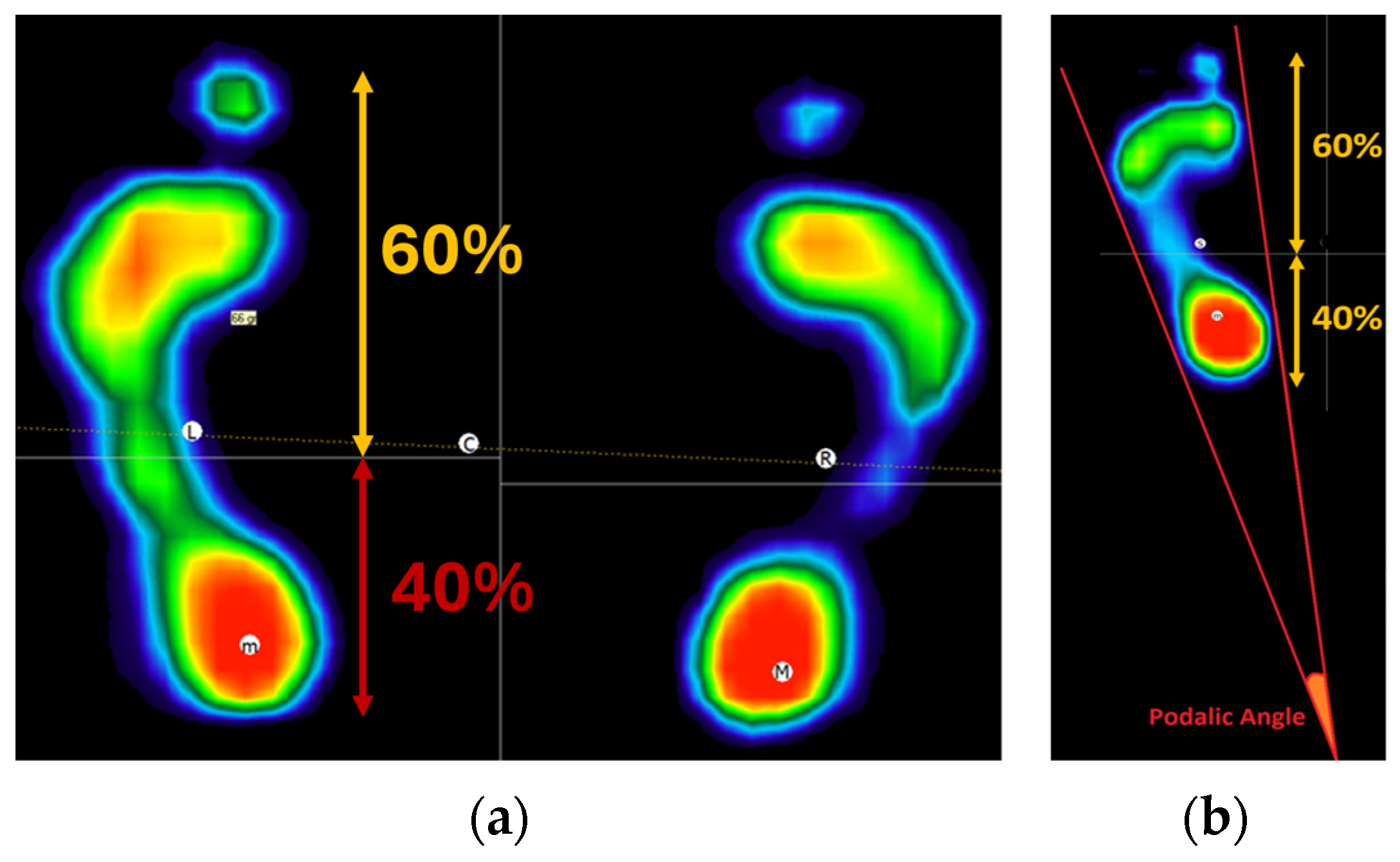 Sensors 24 03646 g007