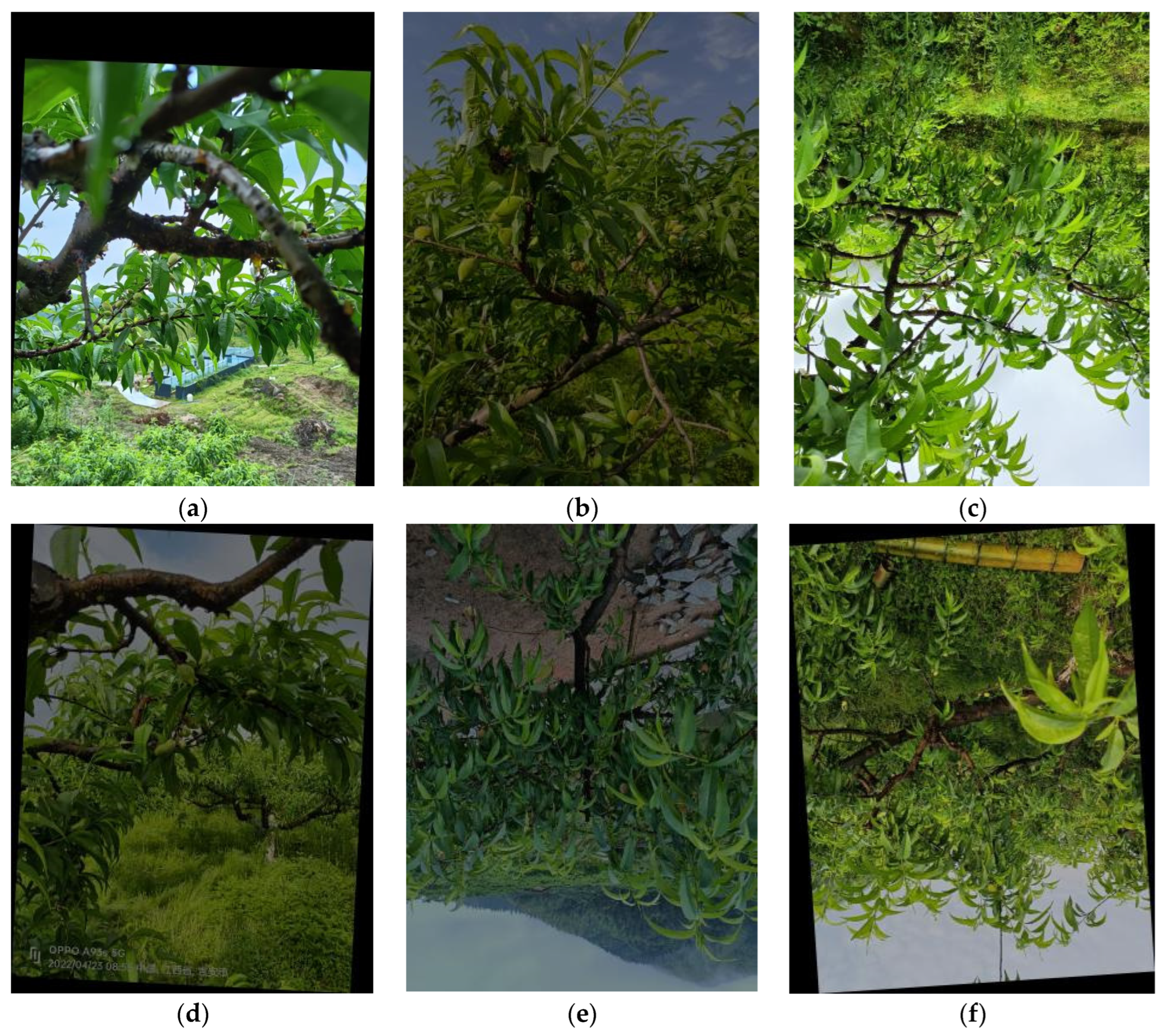 Sensors 24 03783 g002