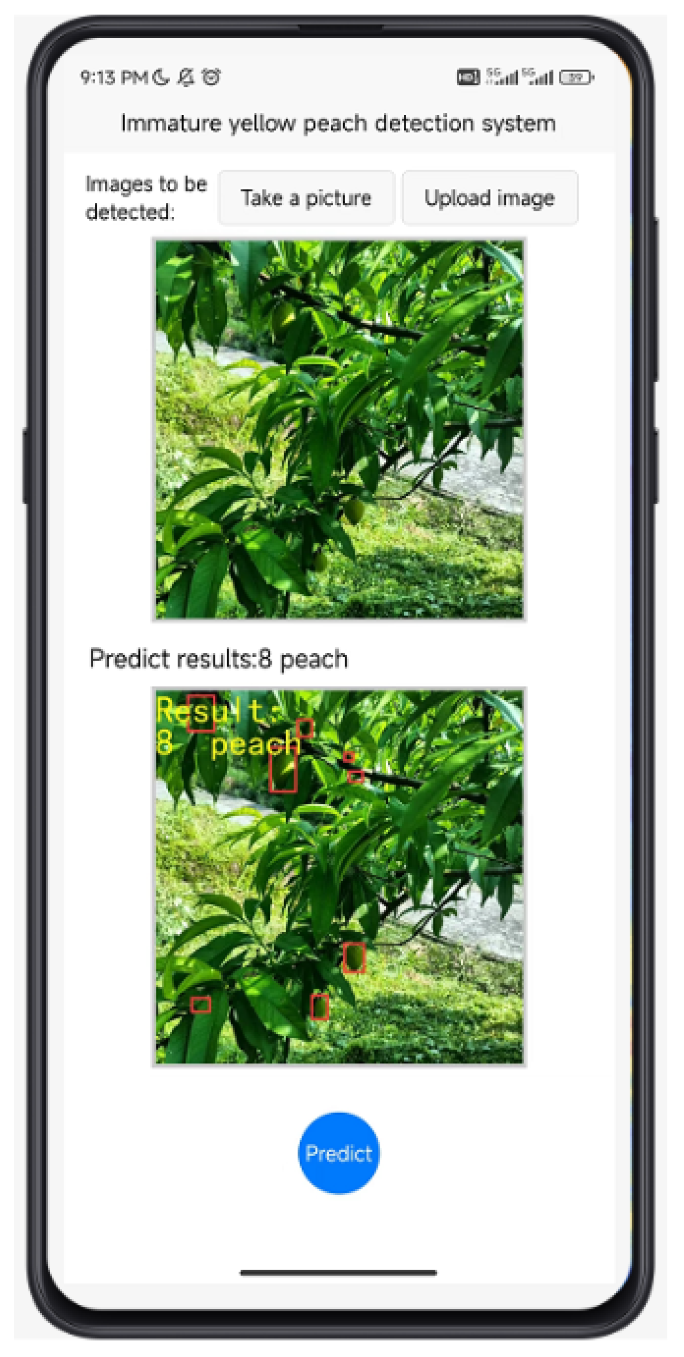 Sensors 24 03783 g013