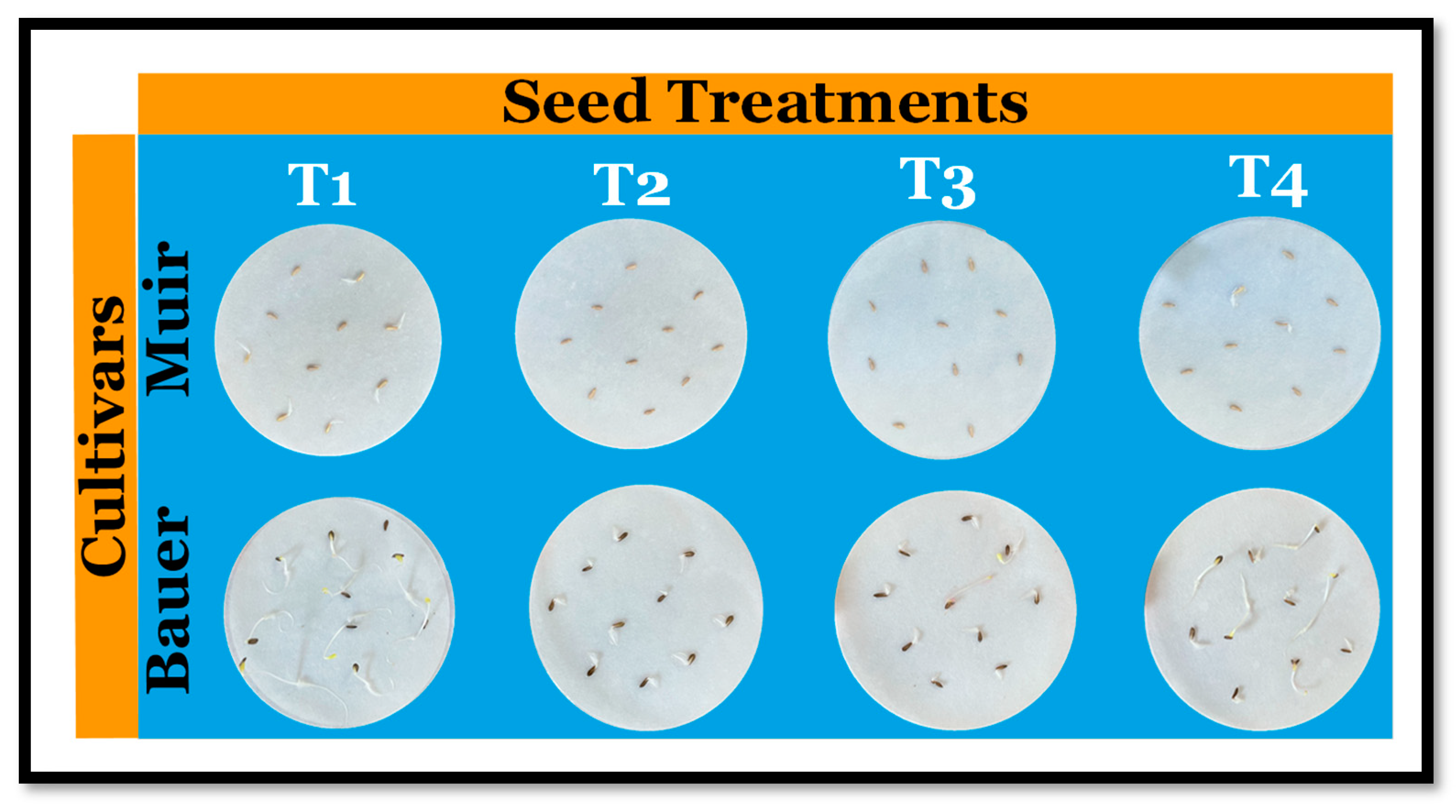 Sensors 24 04228 g001