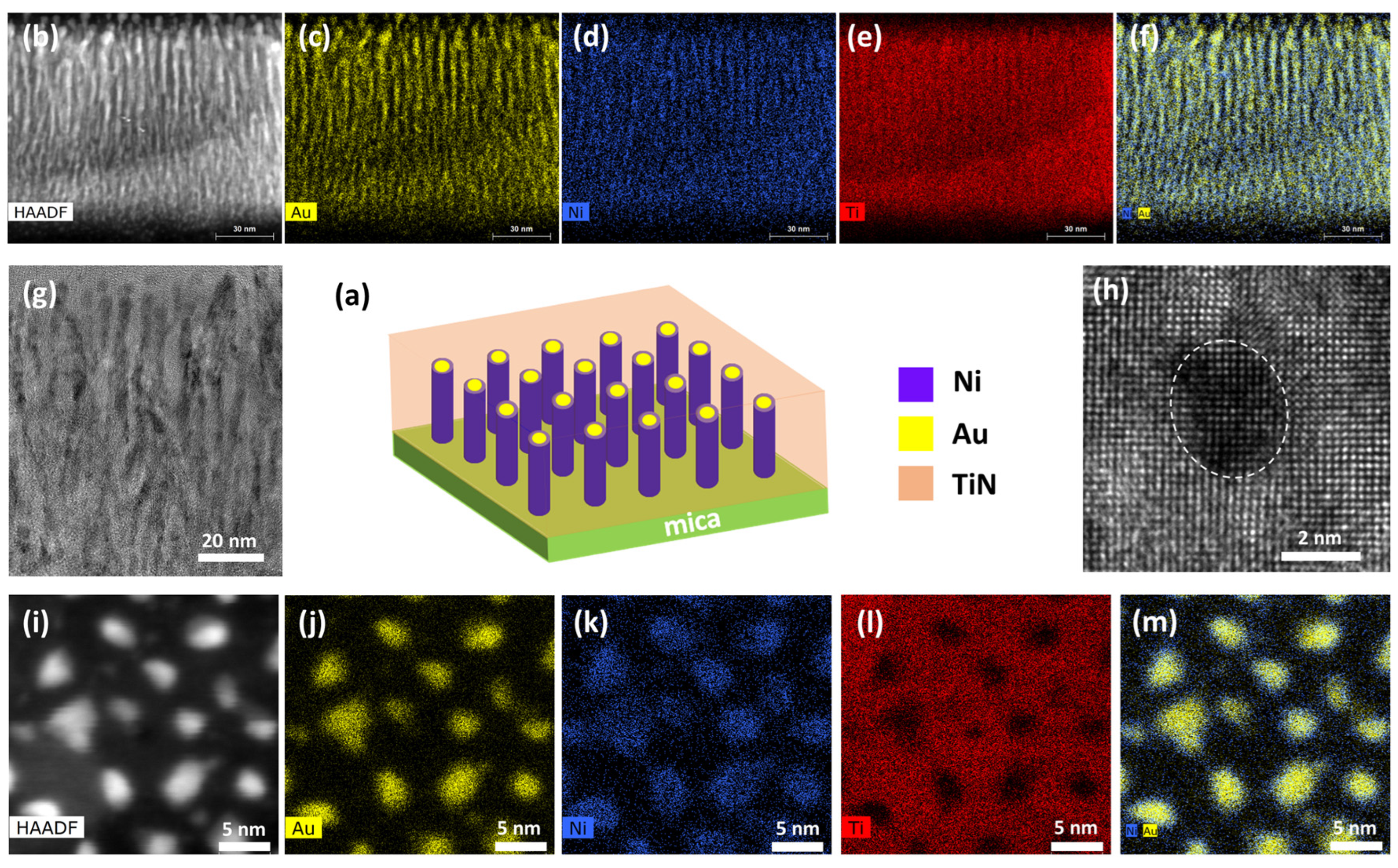 Sensors 24 04863 g004
