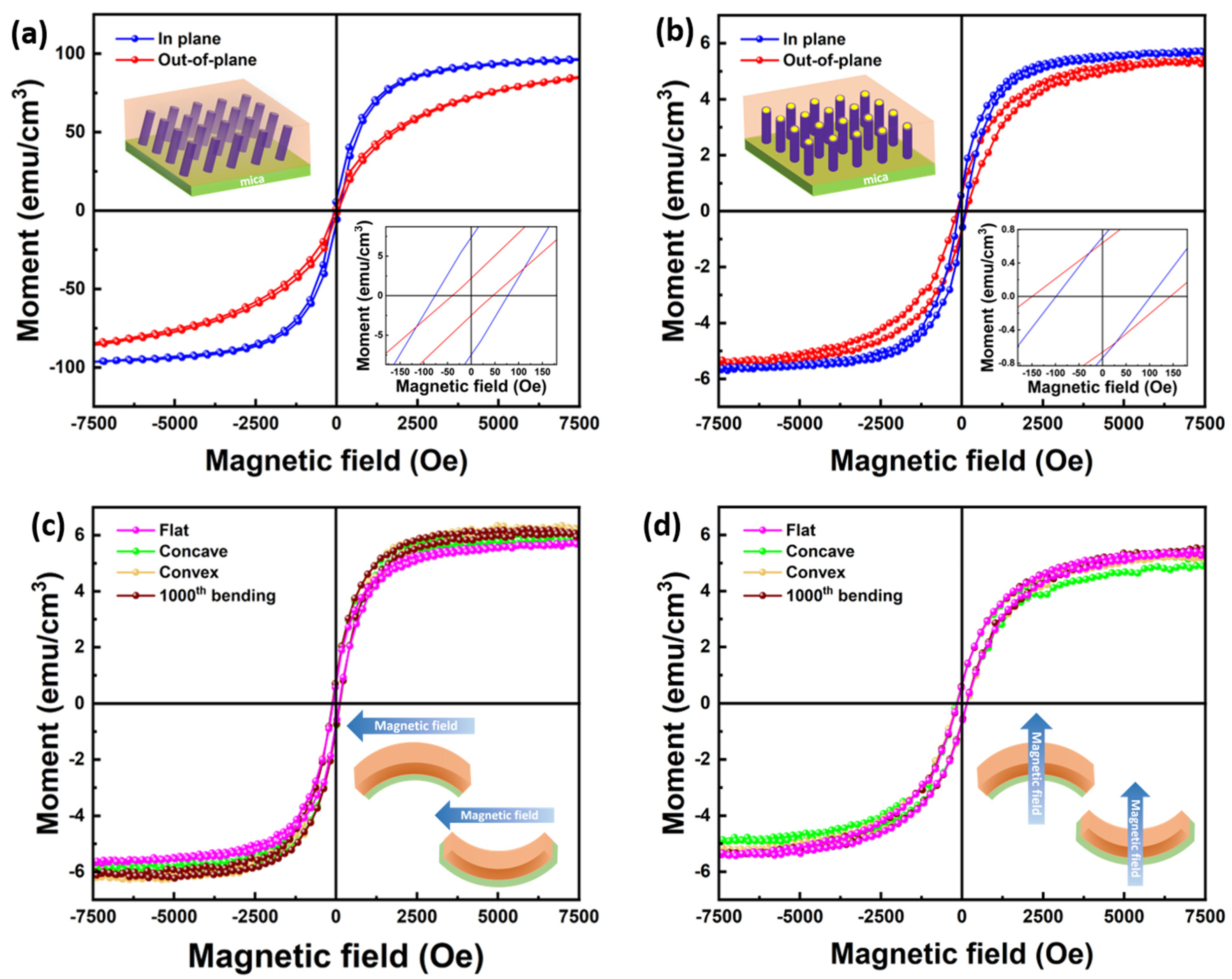 Sensors 24 04863 g005