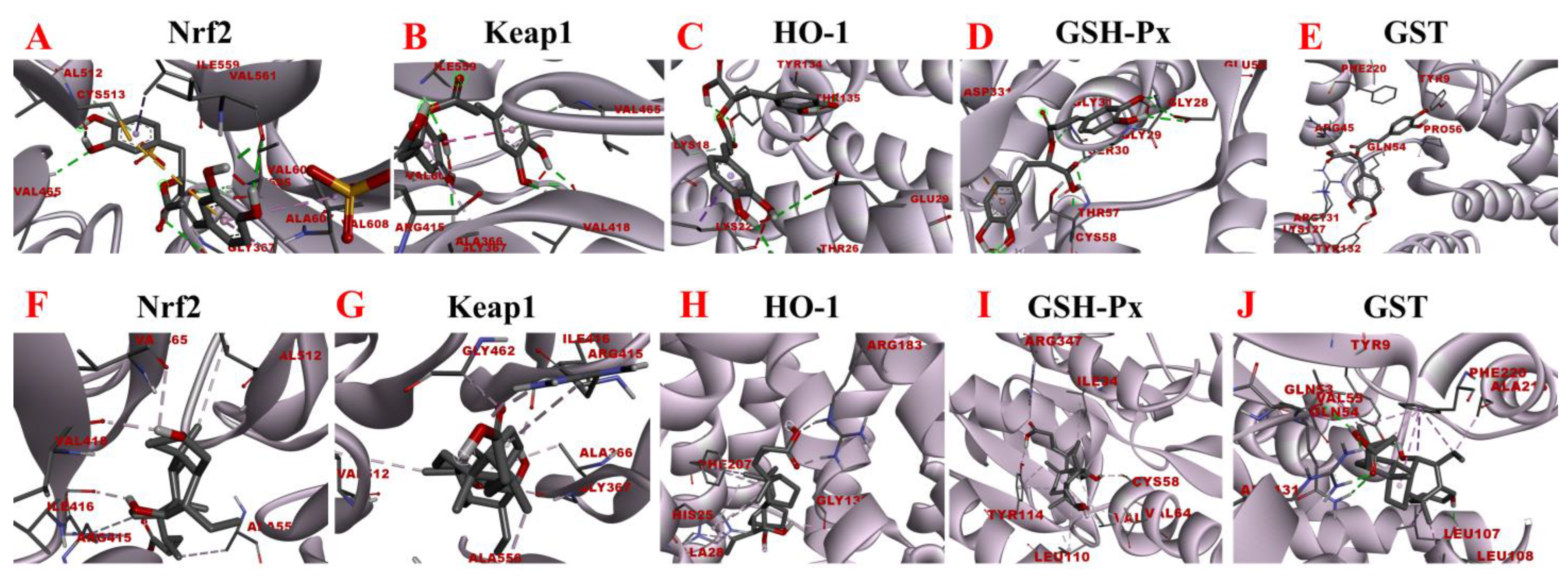 Separations 09 00273 g011 Separations 09 00273 g011