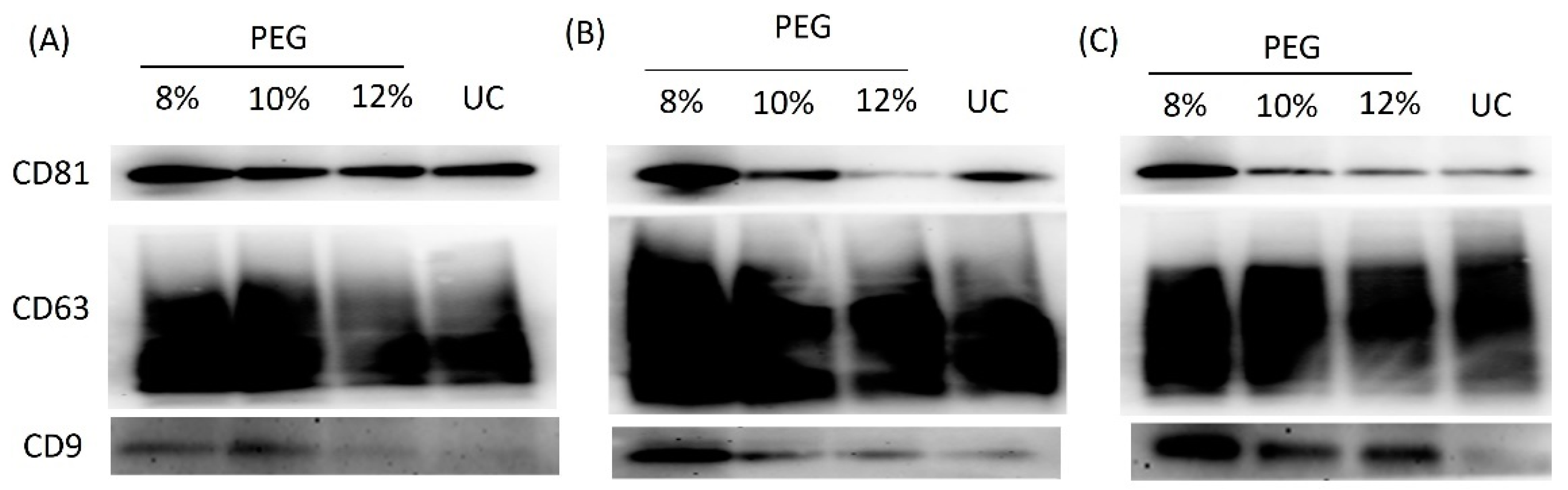 Separations 09 00435 g004