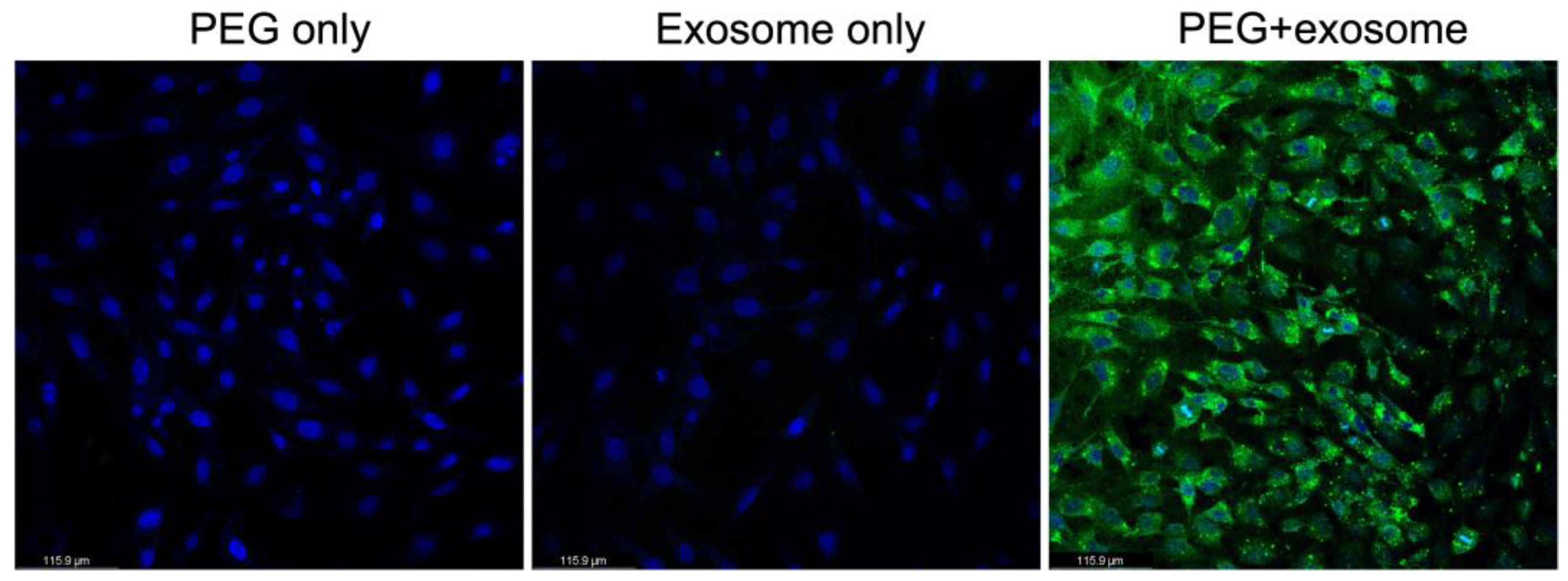 Separations 09 00435 g007