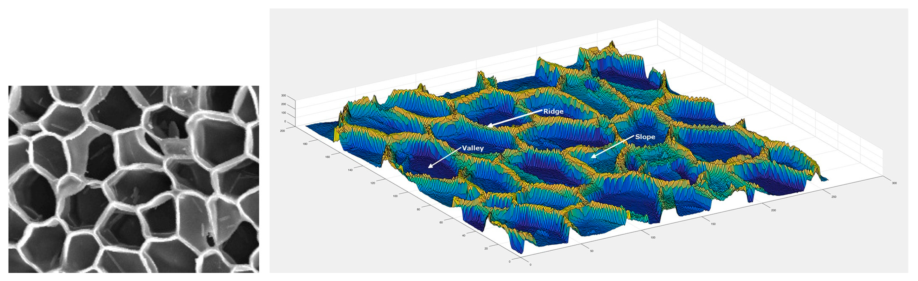 Separations 10 00390 g002
