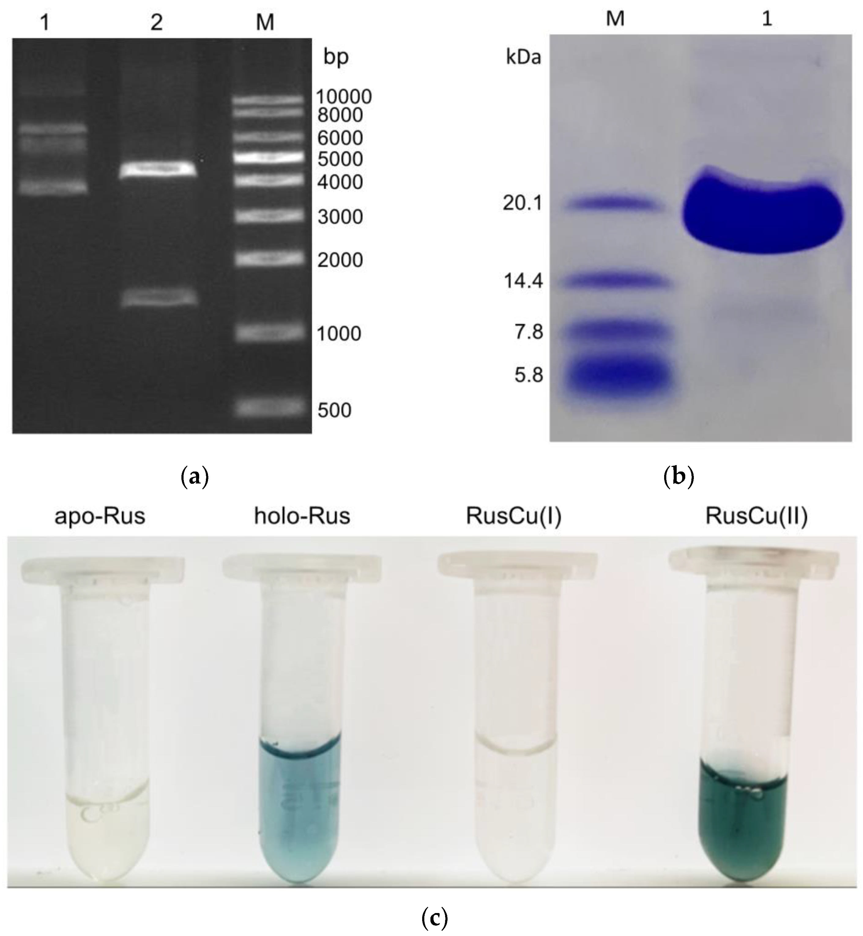 Separations 10 00448 g001