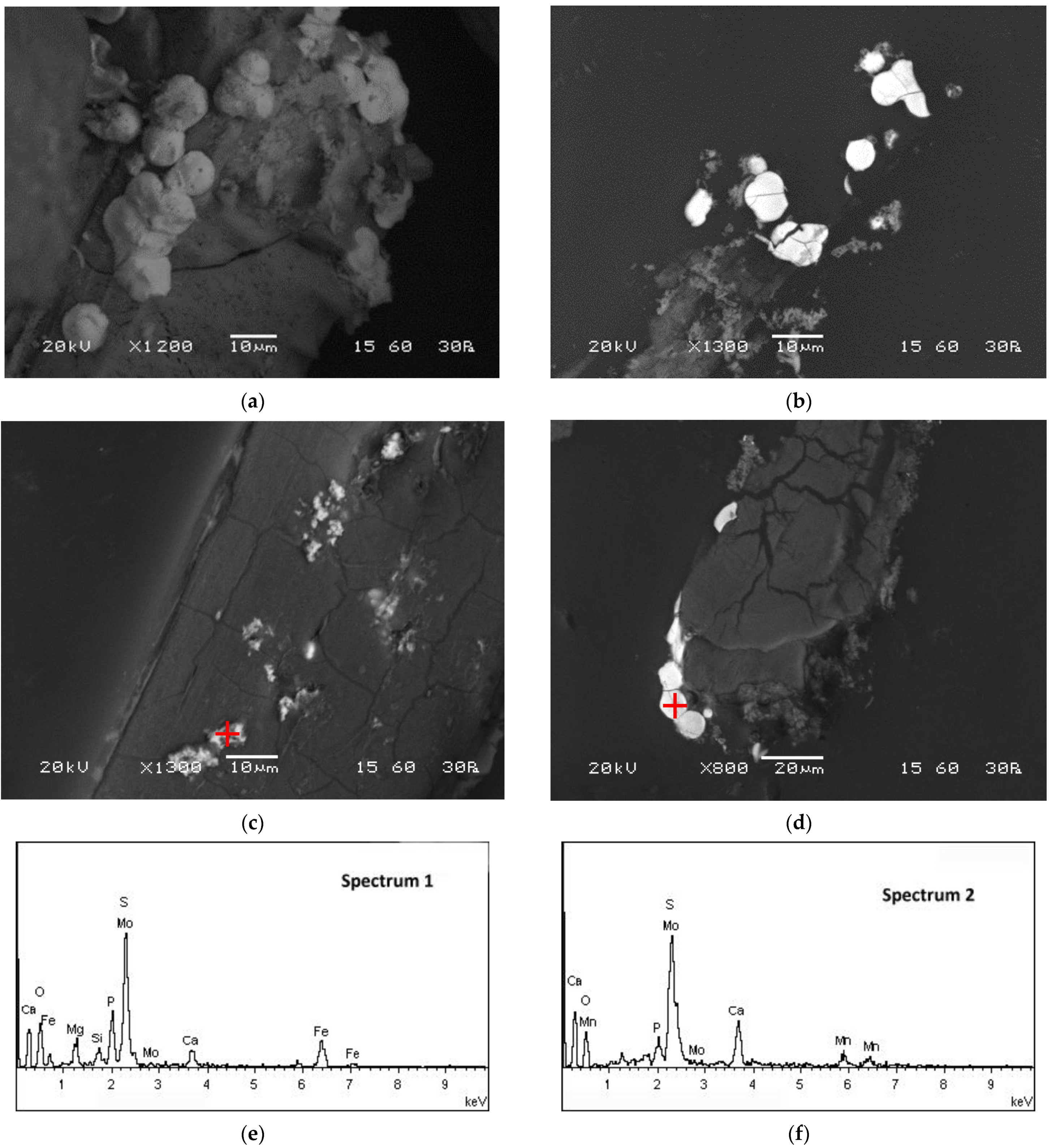 Separations 11 00009 g006