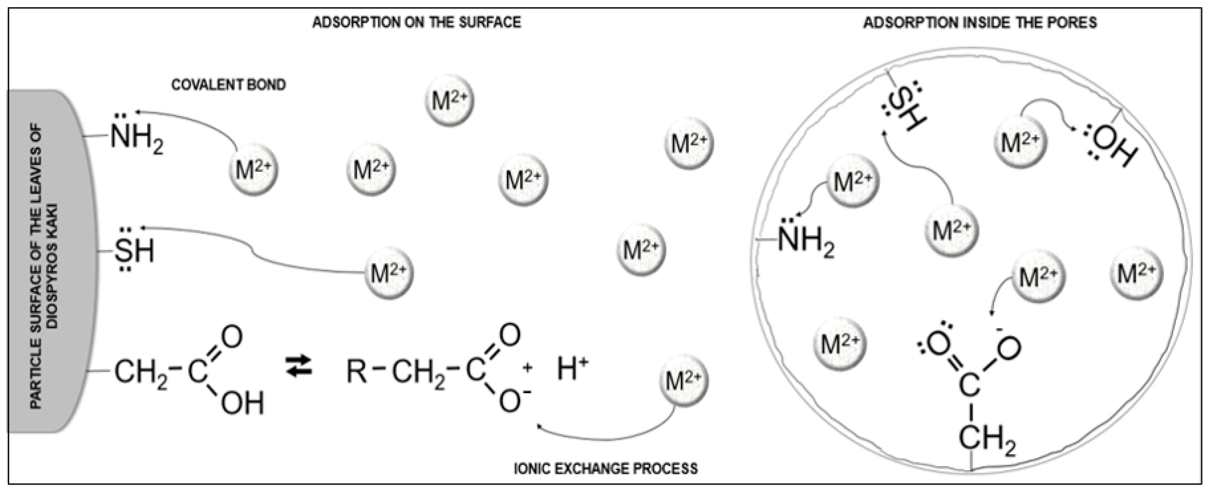 Separations 11 00012 g003