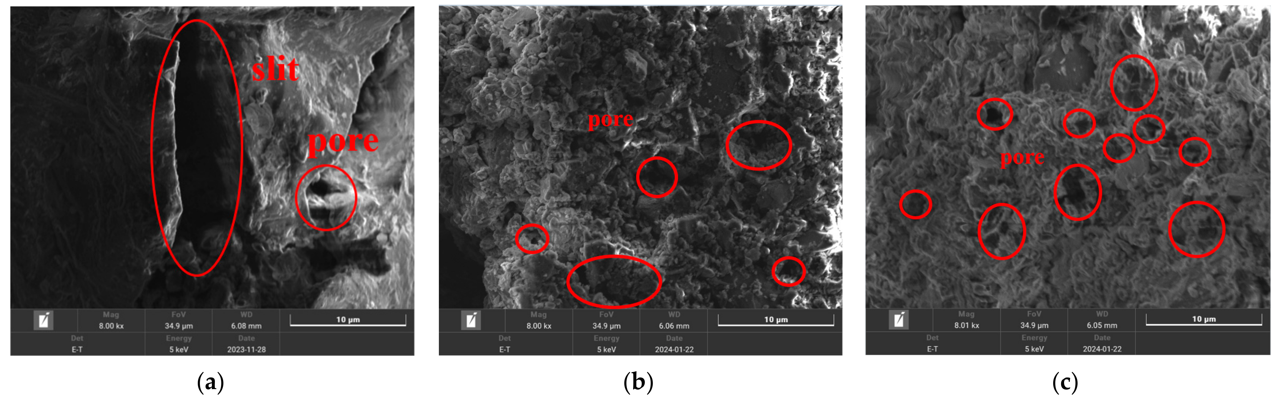 Separations 11 00040 g005