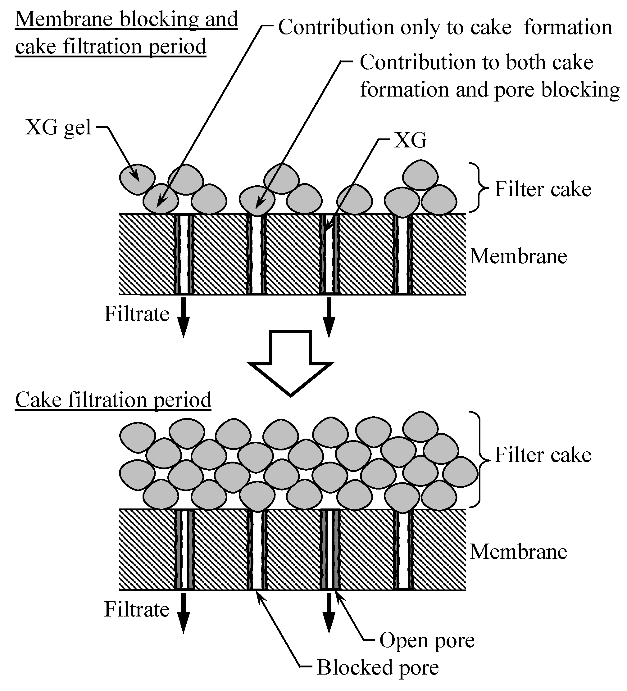 Separations 11 00070 g008