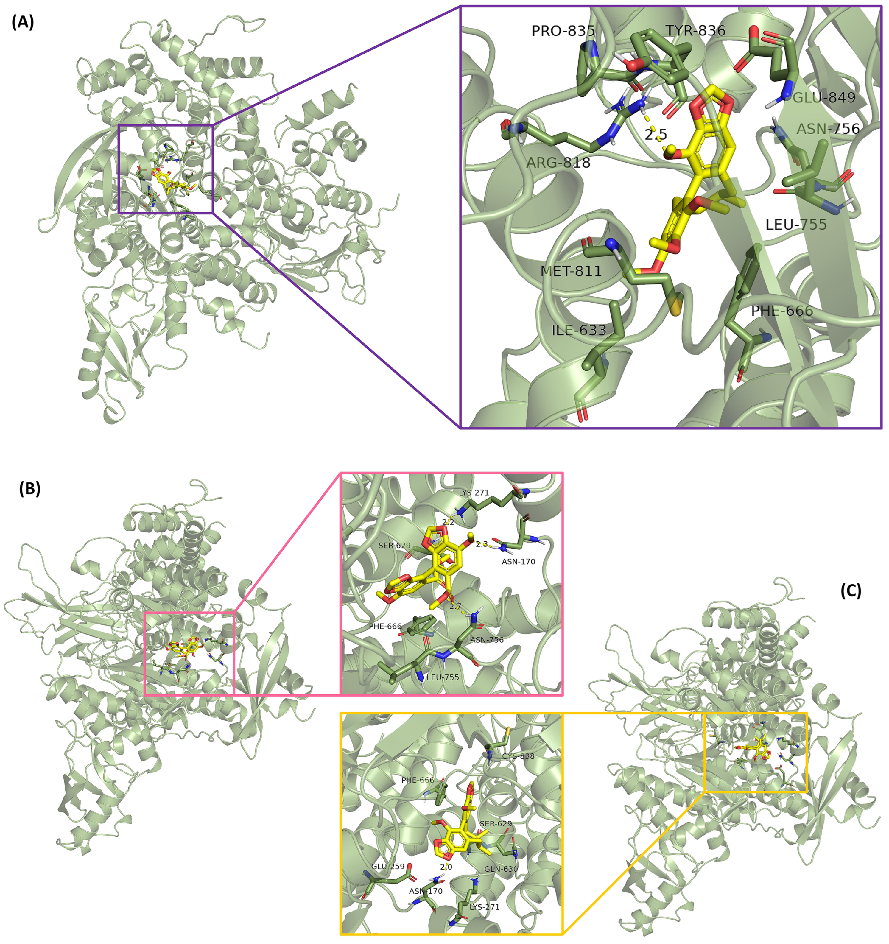 Separations 11 00088 g006
