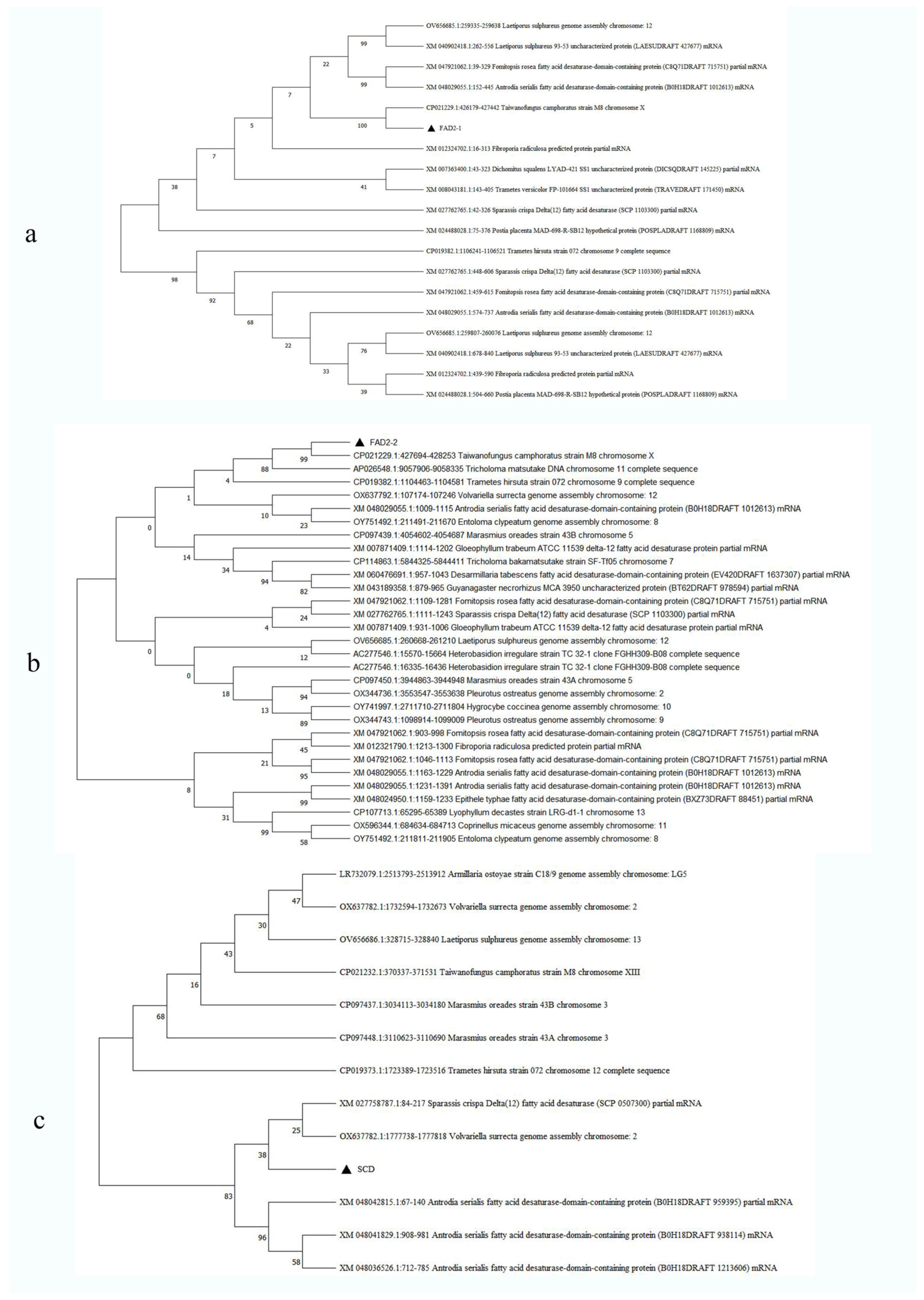 Separations 11 00127 g005