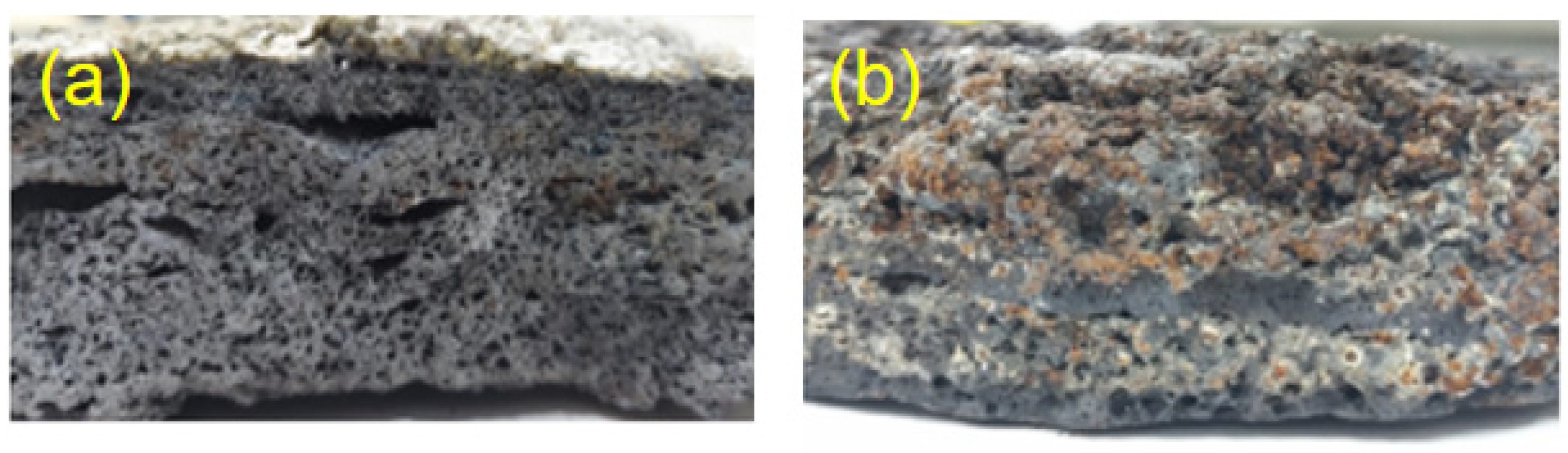 Separations 11 00137 g003