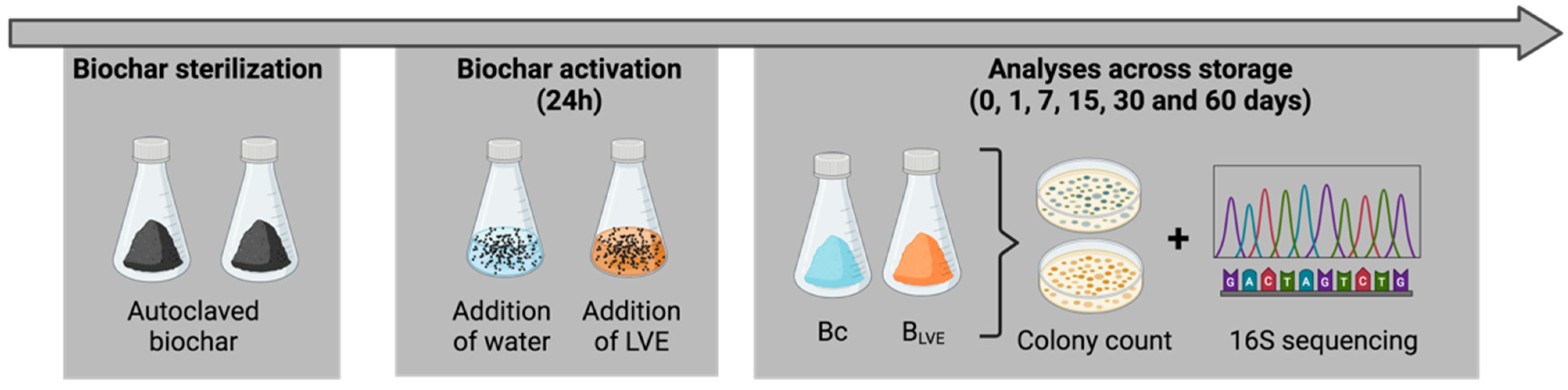 Soilsystems 08 00054 g001