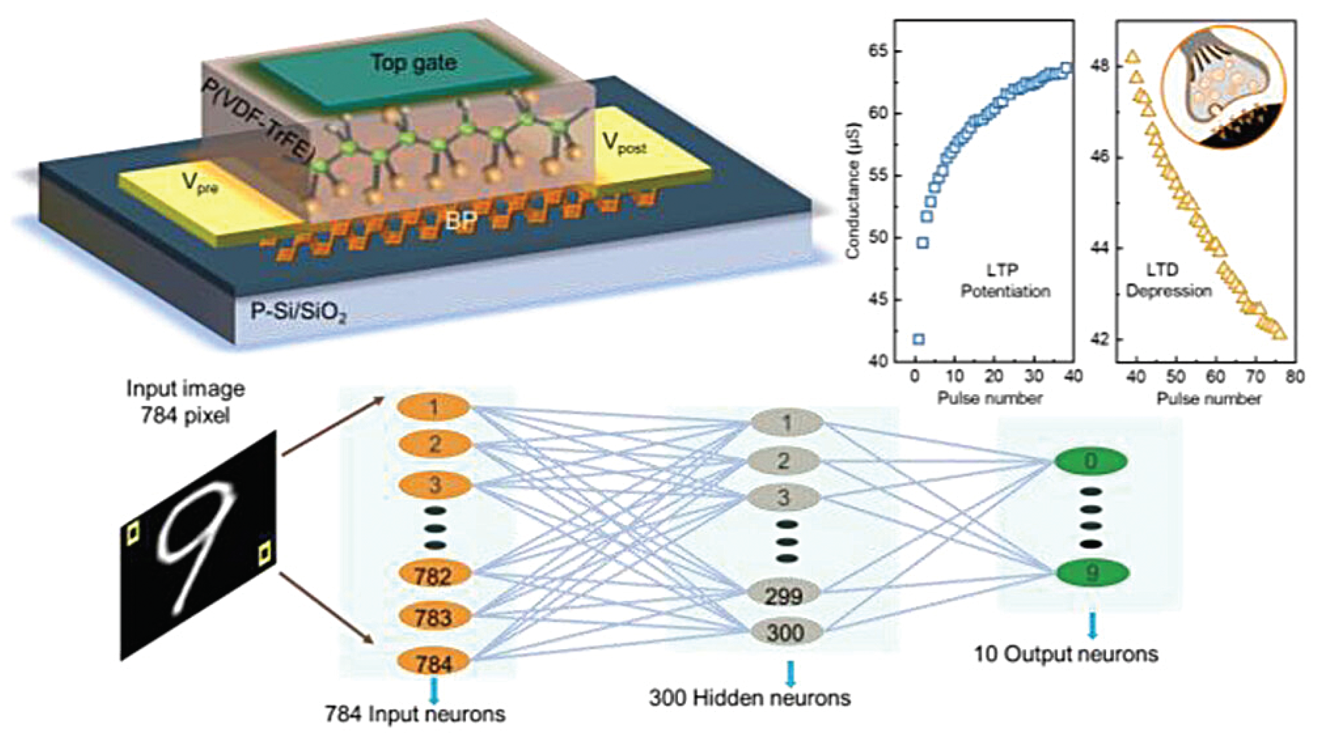 Solids 05 00004 g008