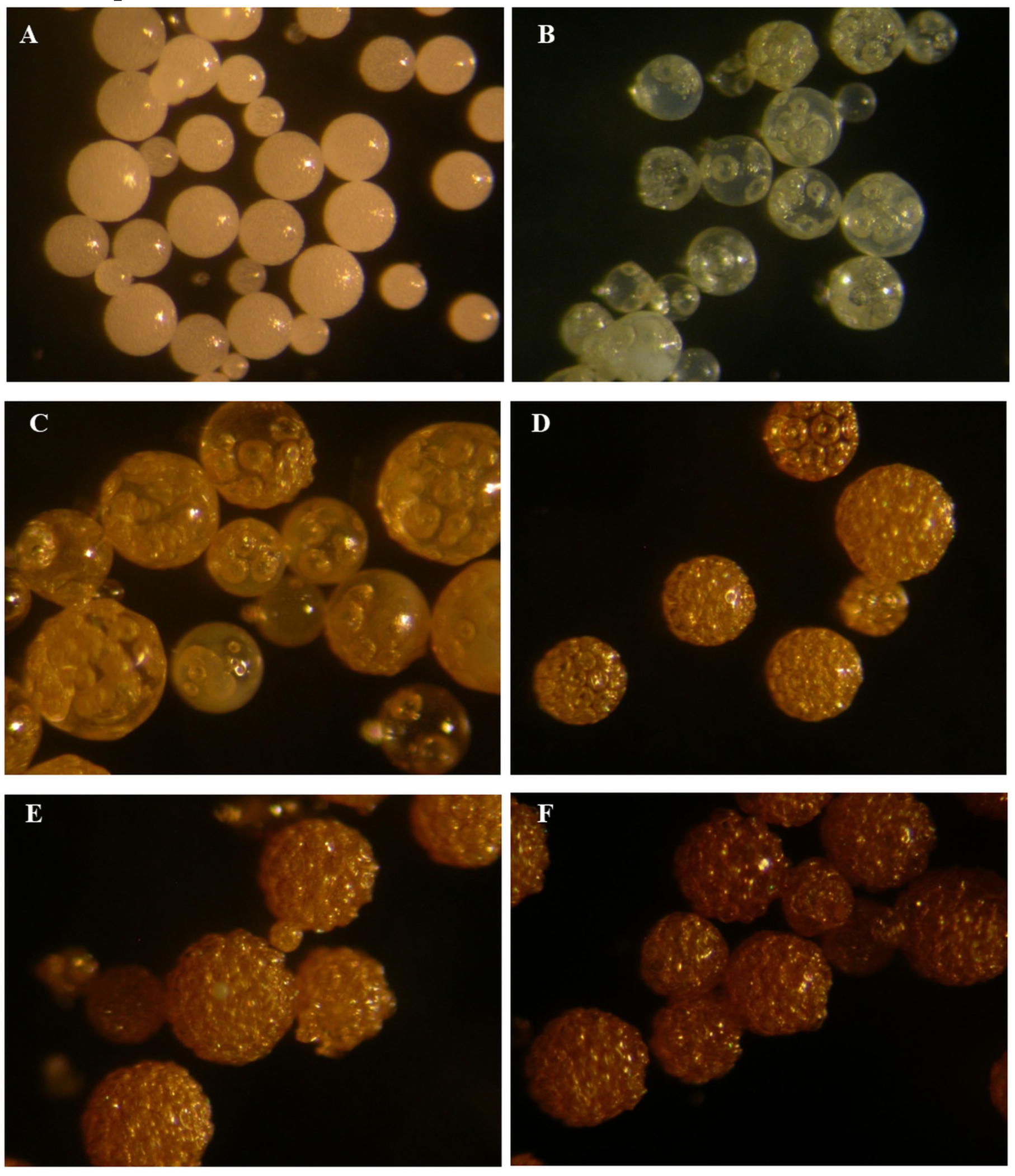 Solids 05 00011 g004