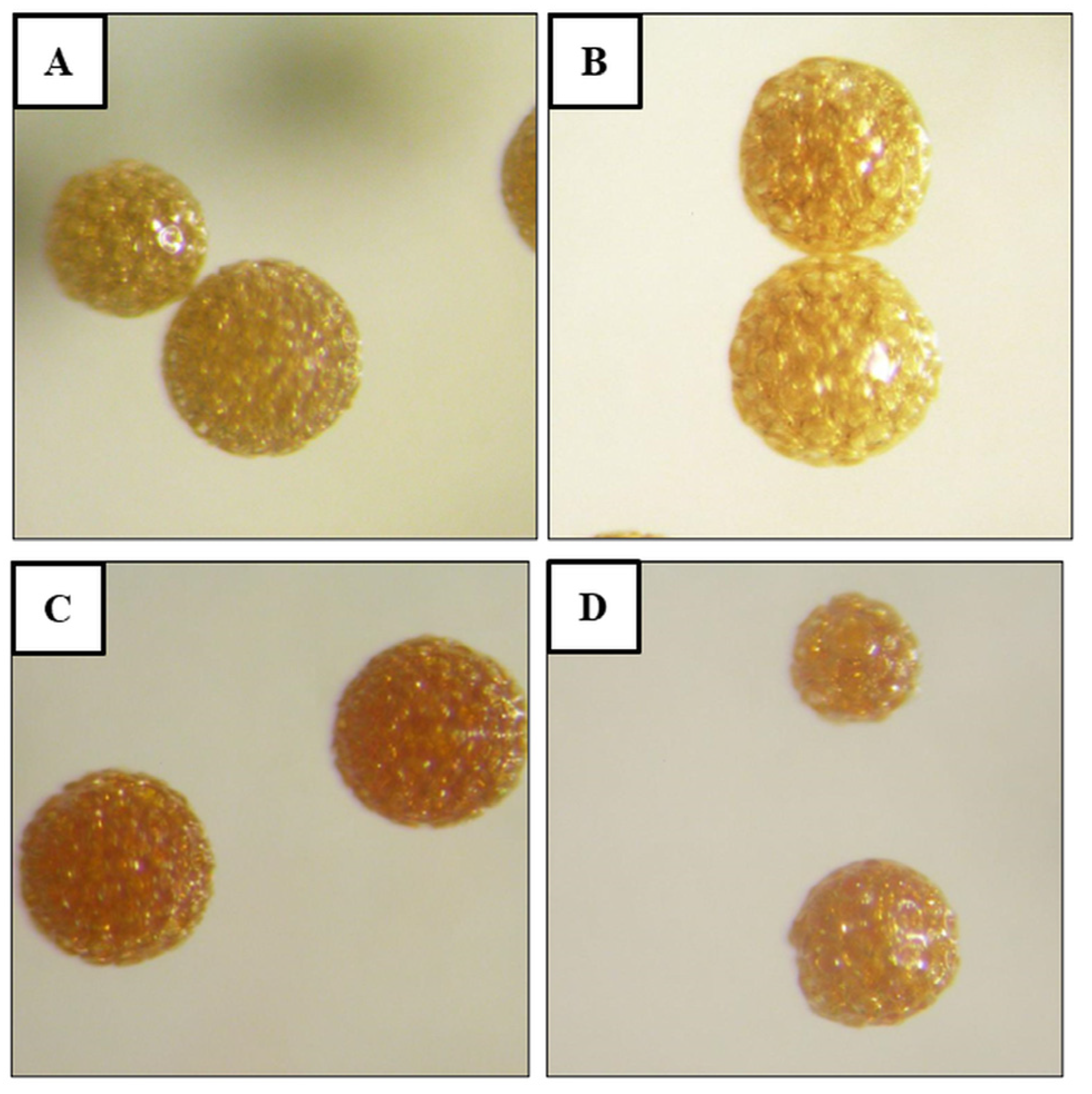 Solids 05 00011 g012