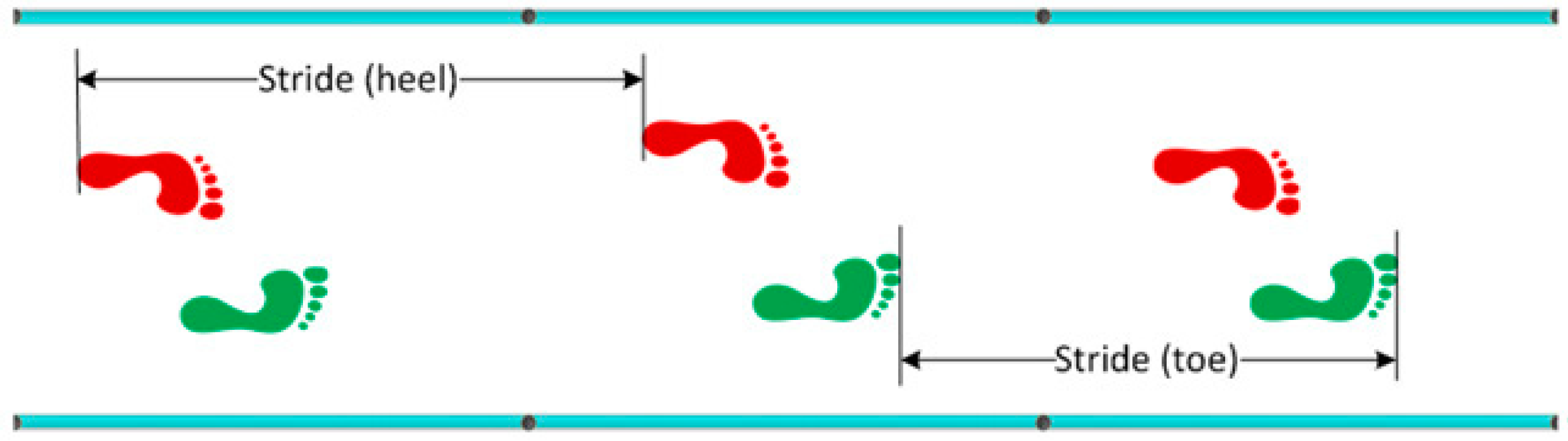 Sports 06 00058 g002 Sports 06 00058 g002