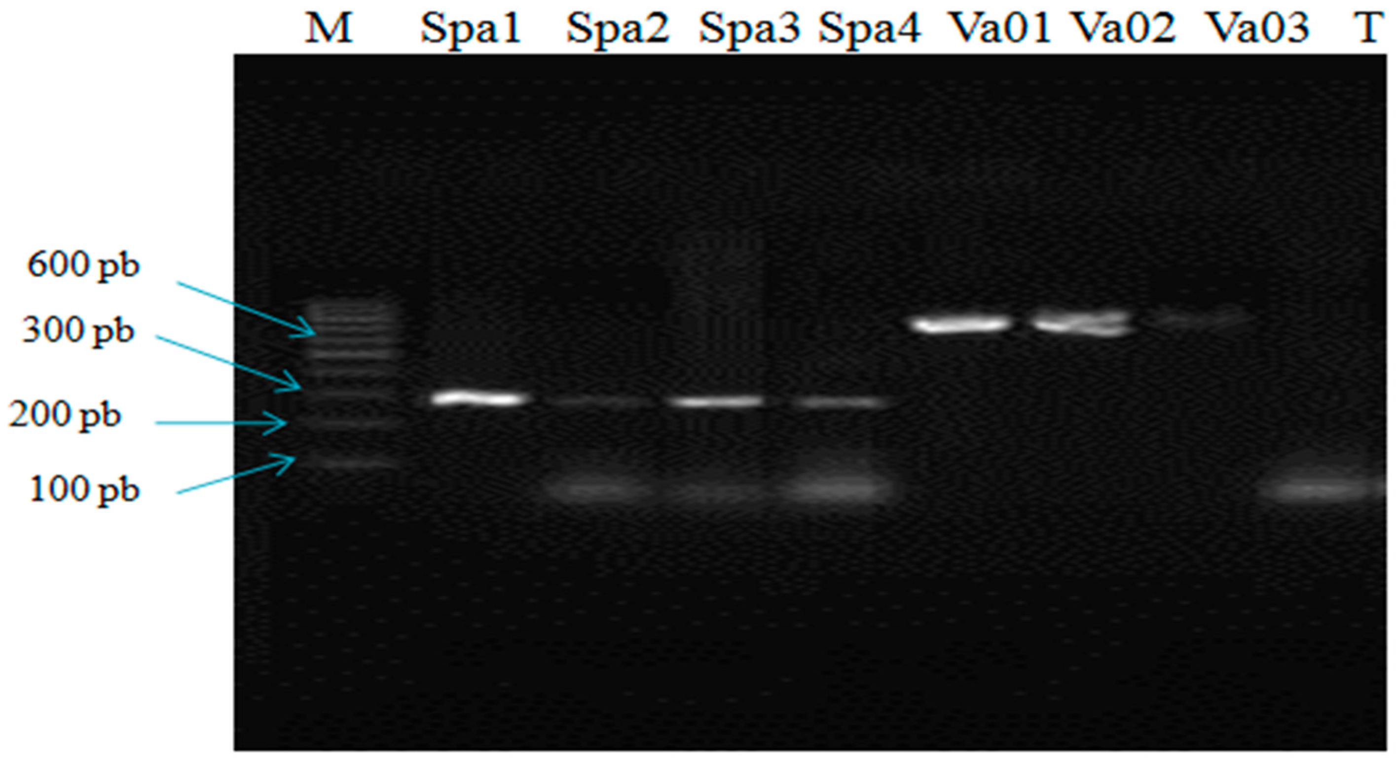 Surfaces 01 00014 g001