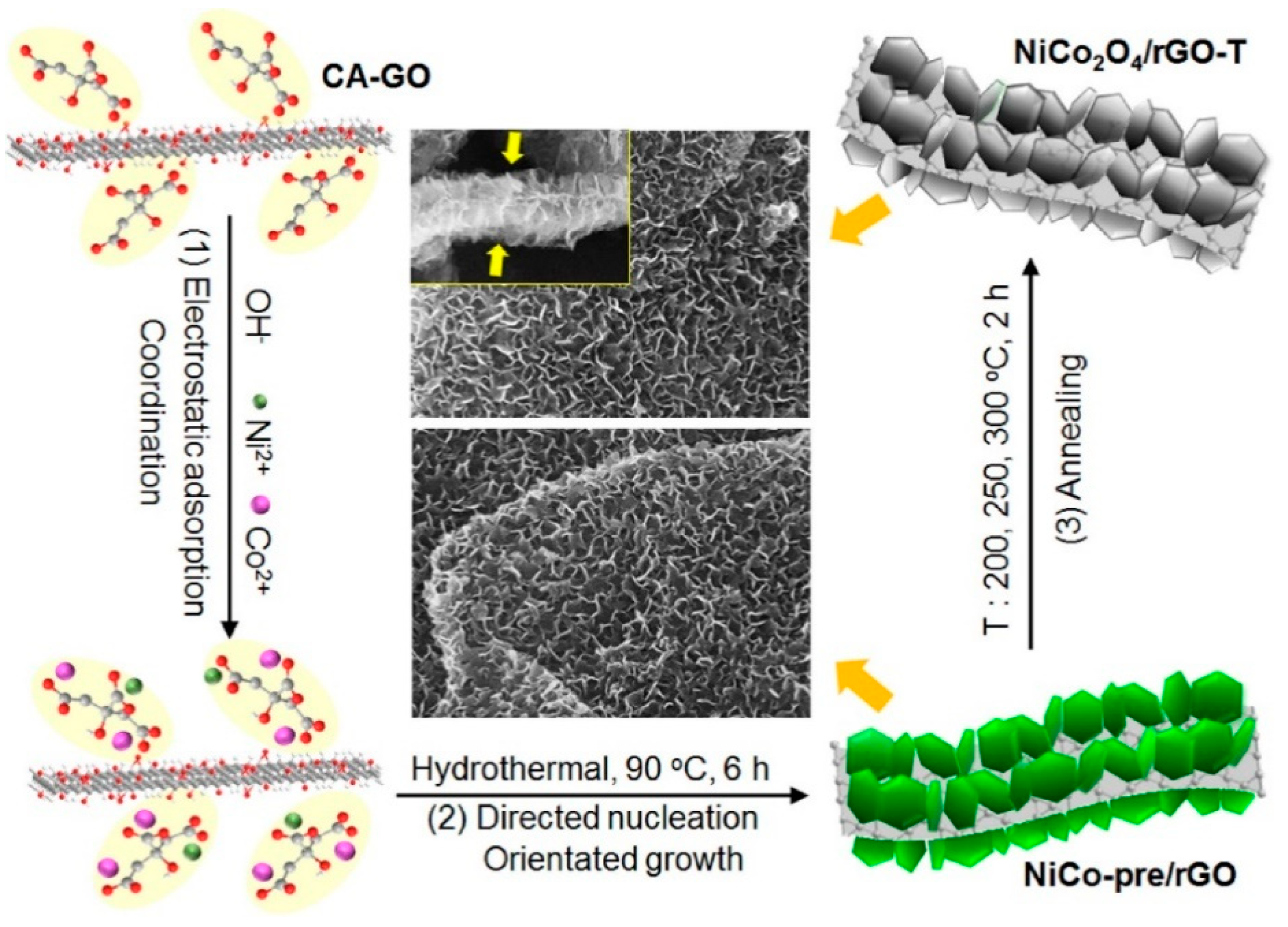 Surfaces 05 00025 g001