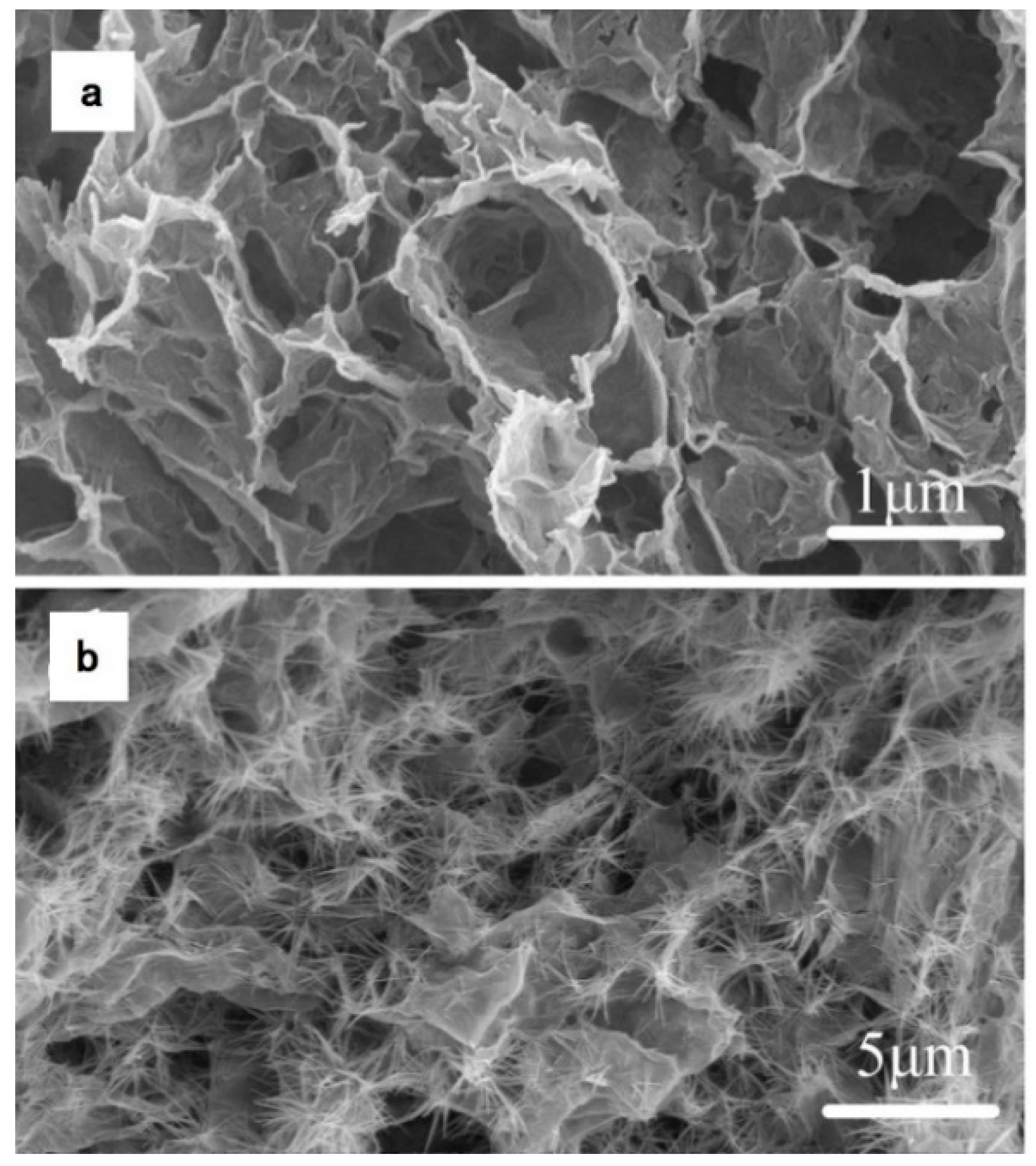 Surfaces 05 00025 g002