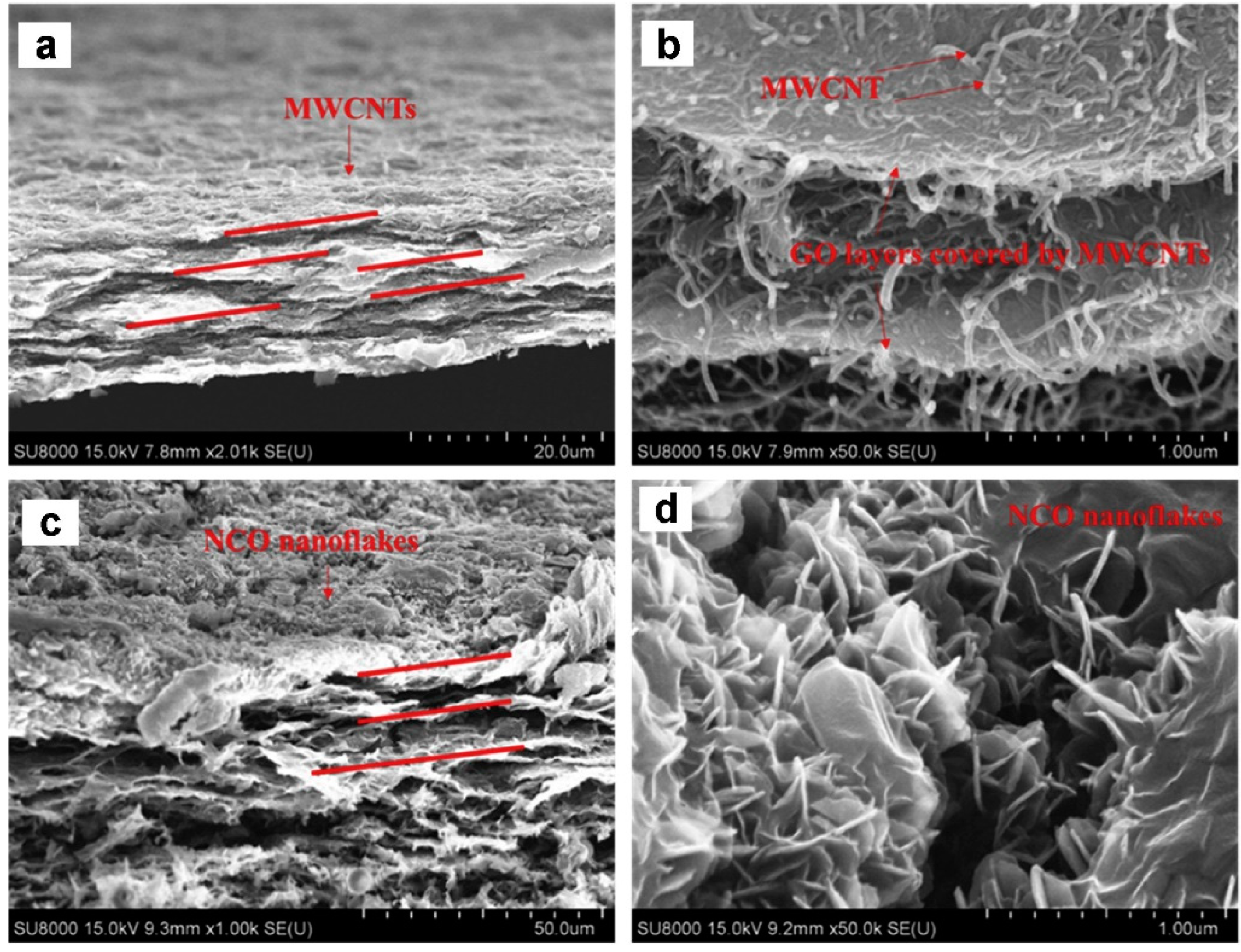 Surfaces 05 00025 g005