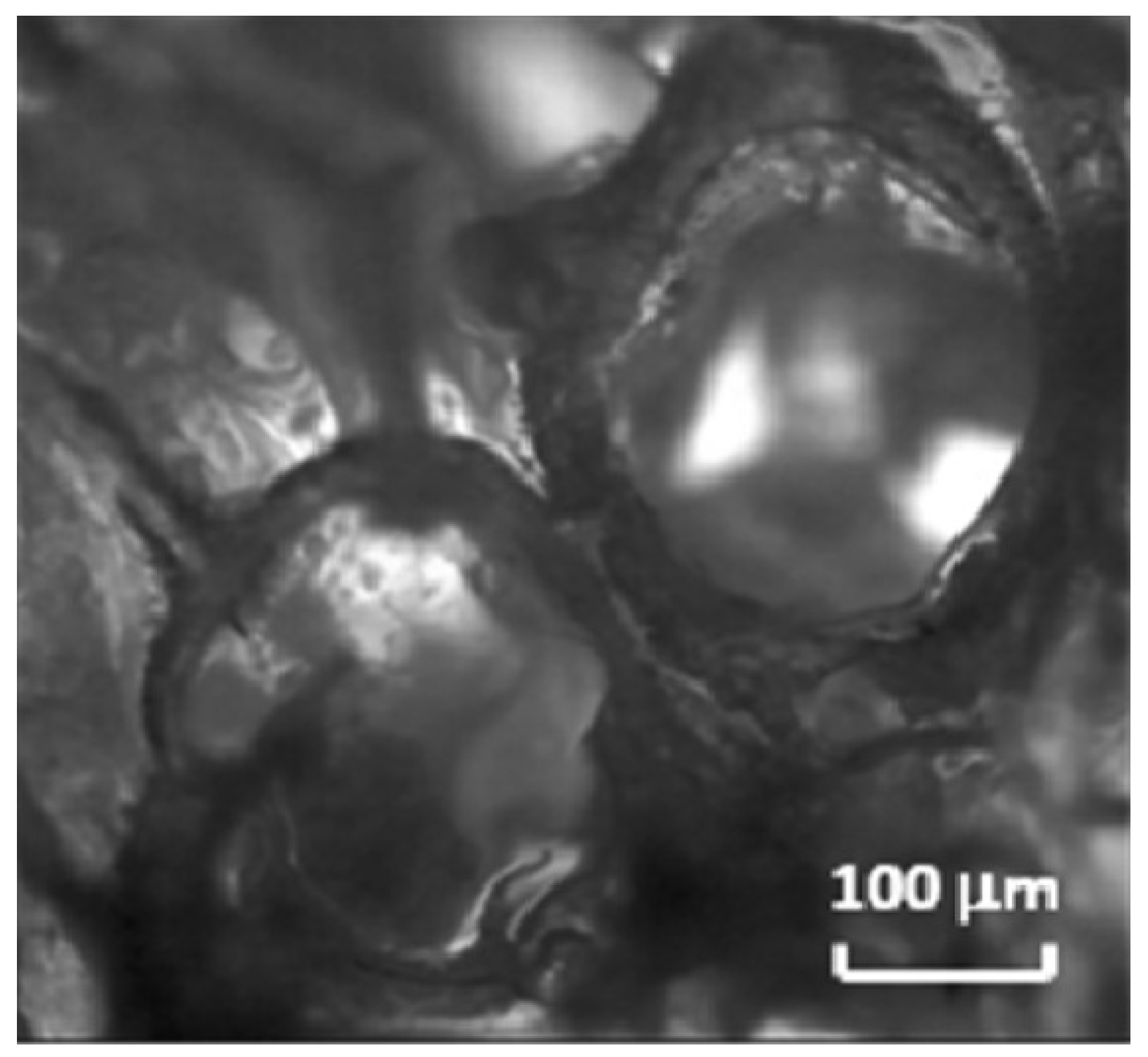 Suschem 04 00025 g008