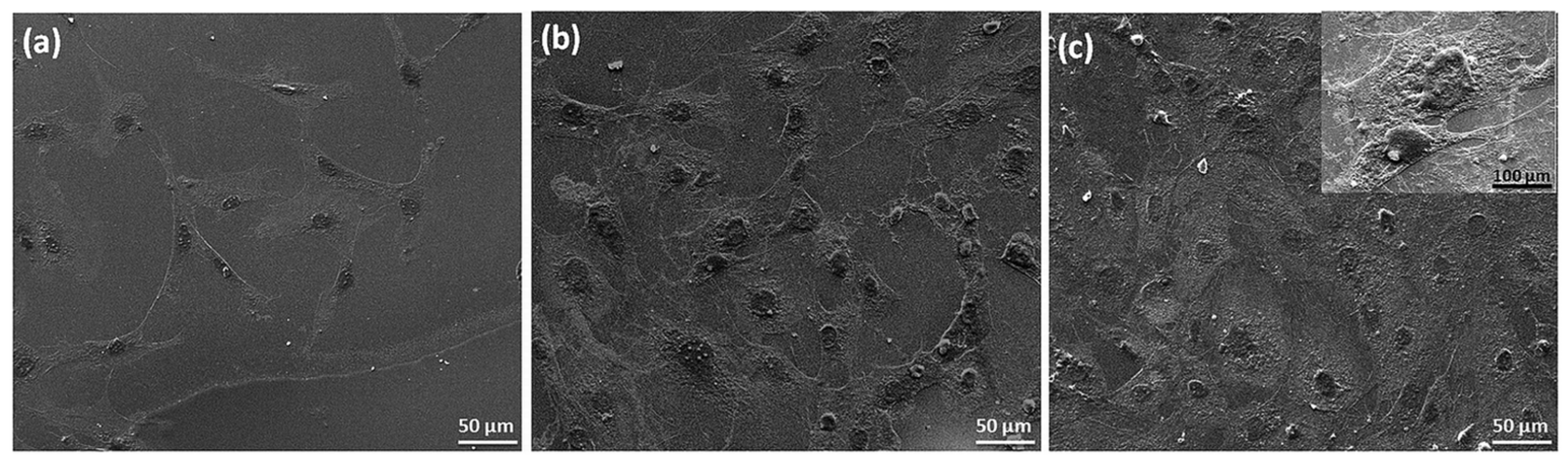 Suschem 04 00025 g013