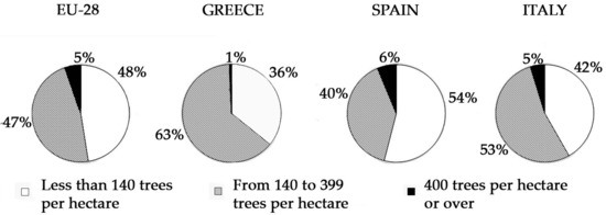 Comparison of European Olive Production Systems Comparison of European Olive Production Systems