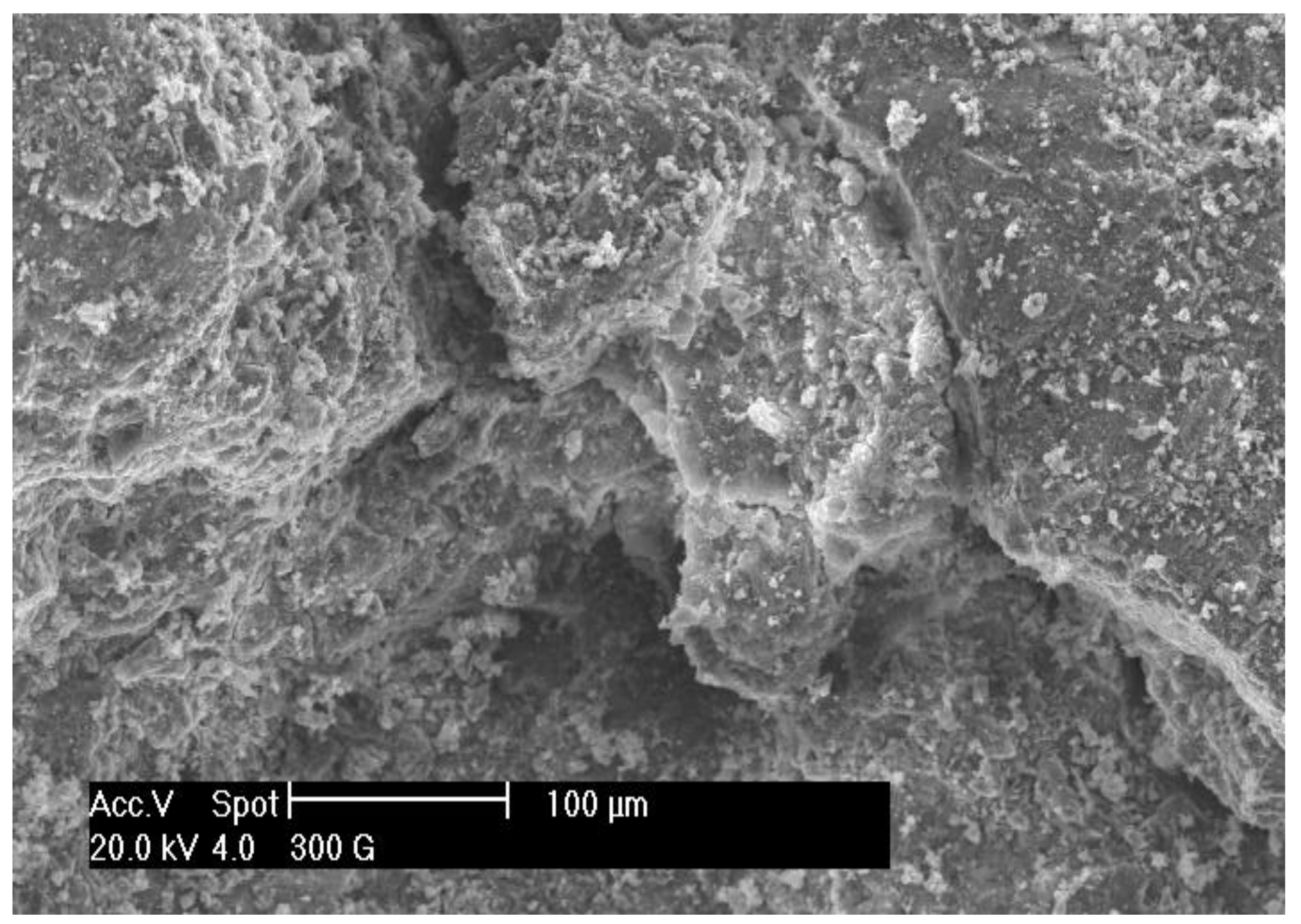 Sustainability 10 01037 g006