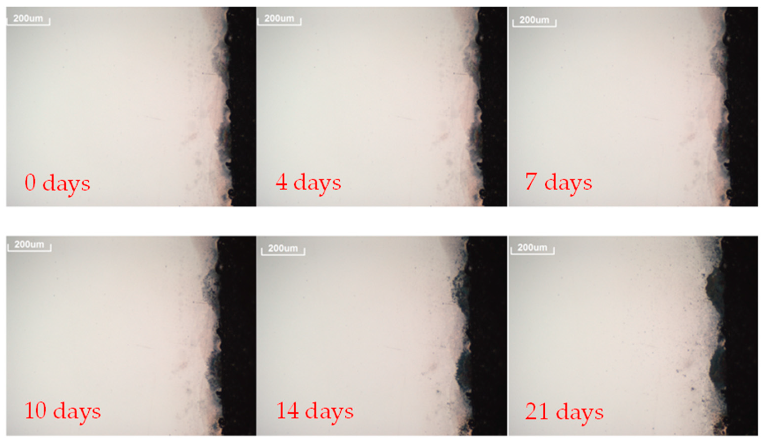 Sustainability 10 03008 g006