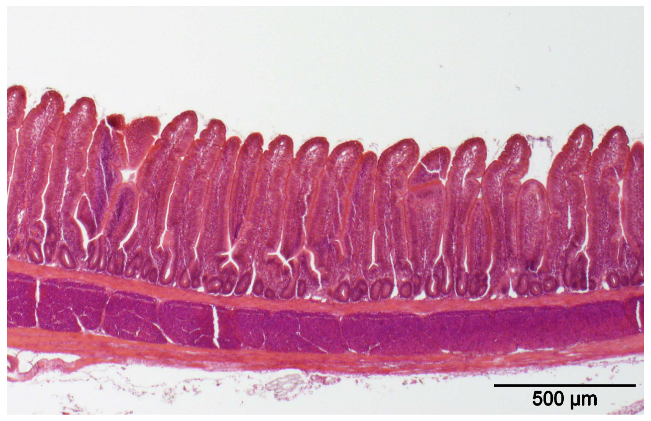 Sustainability 10 03827 g002