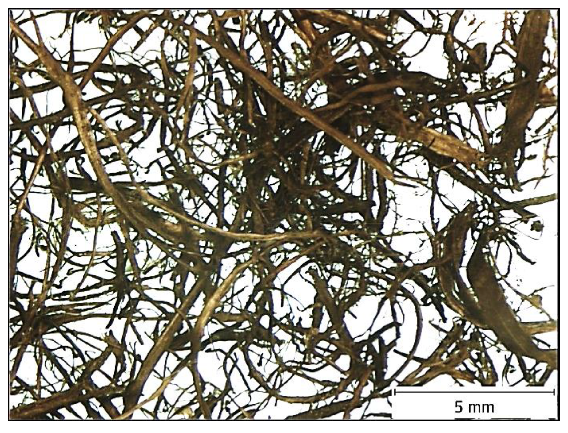 Sustainability 10 04443 g009